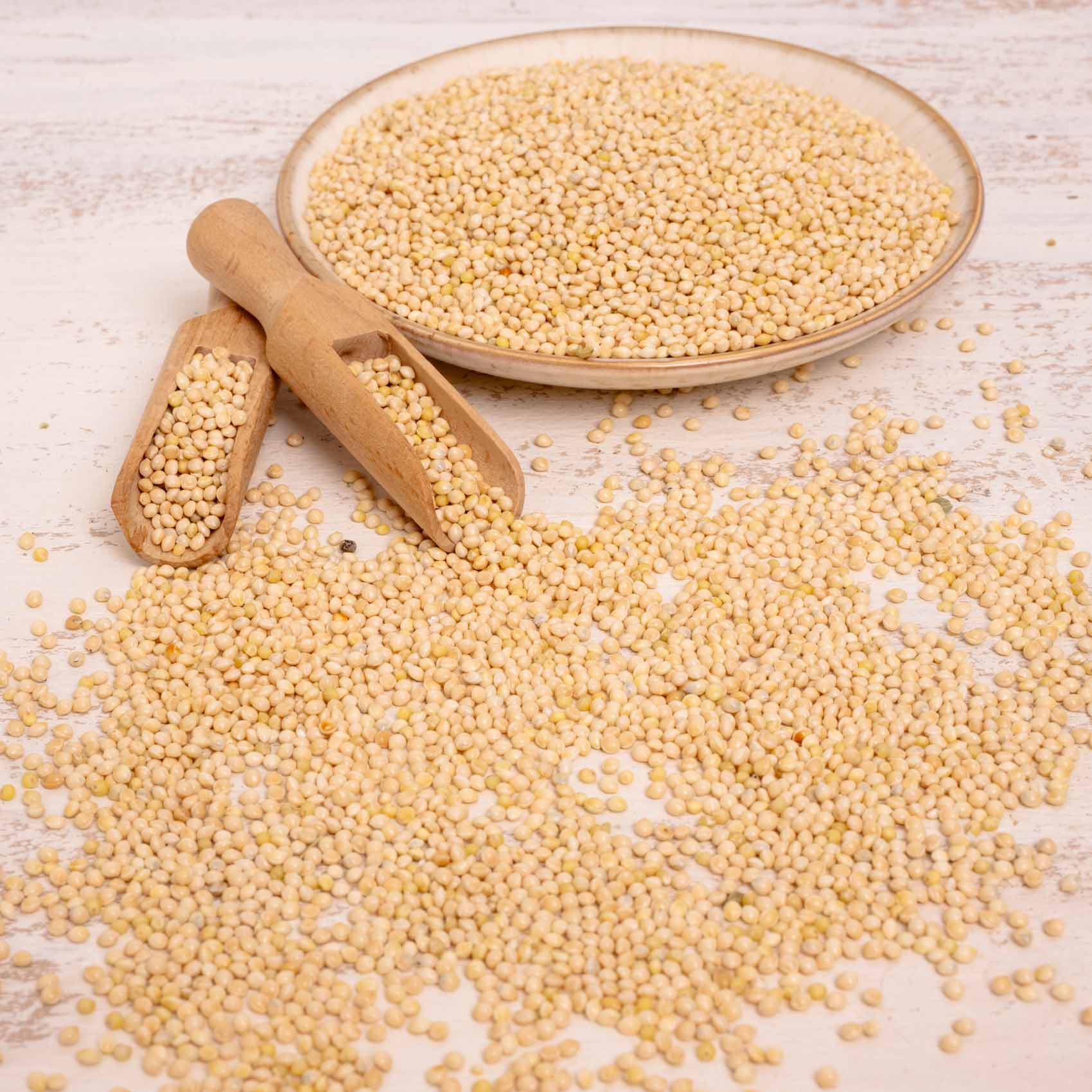 rico-s-futterkiste-silberhirse-lose-500-g-einzelfutter image 3