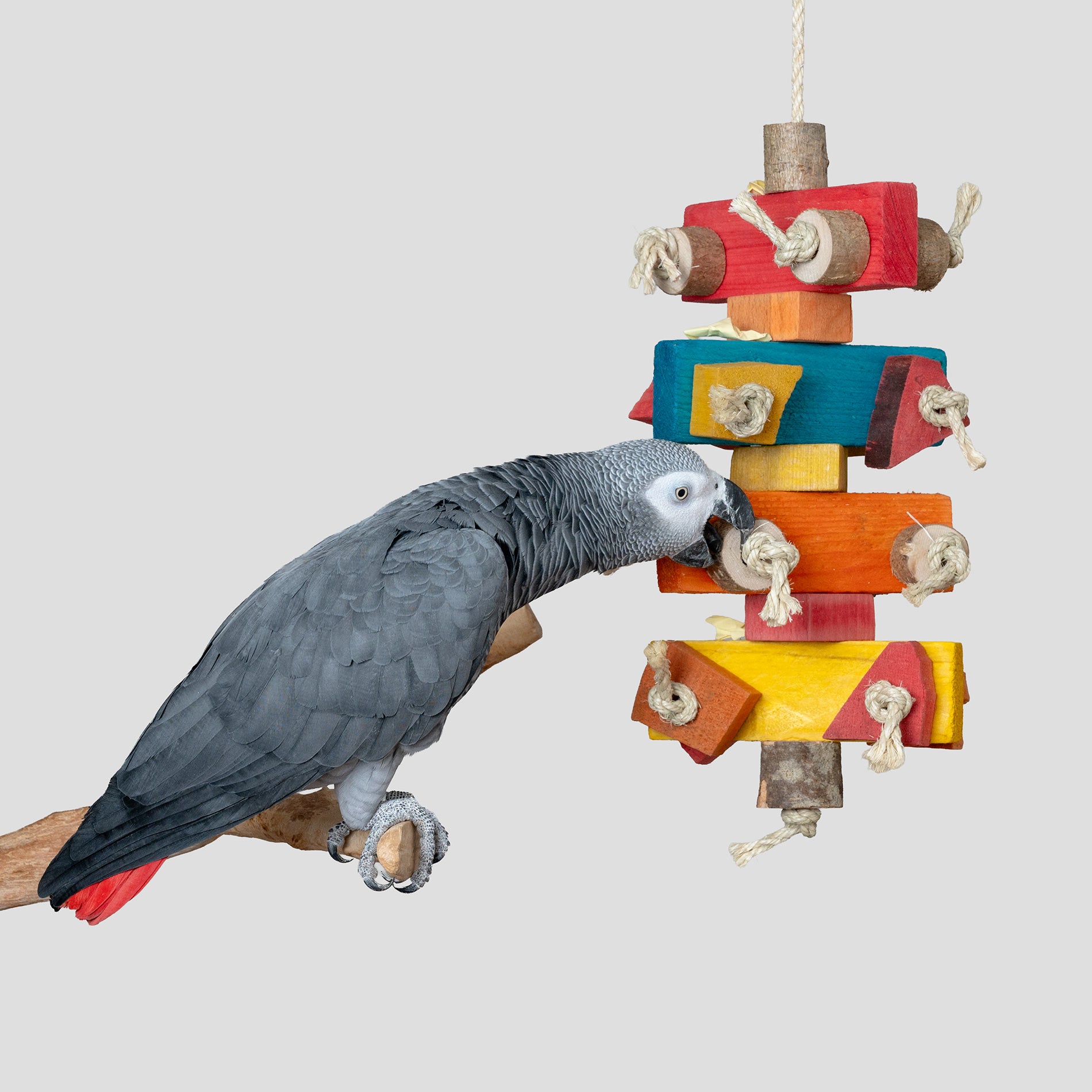 rico-s-futterkiste-kunterbunt-papageienspielzeug-schreddern-holz-40-cm image 3