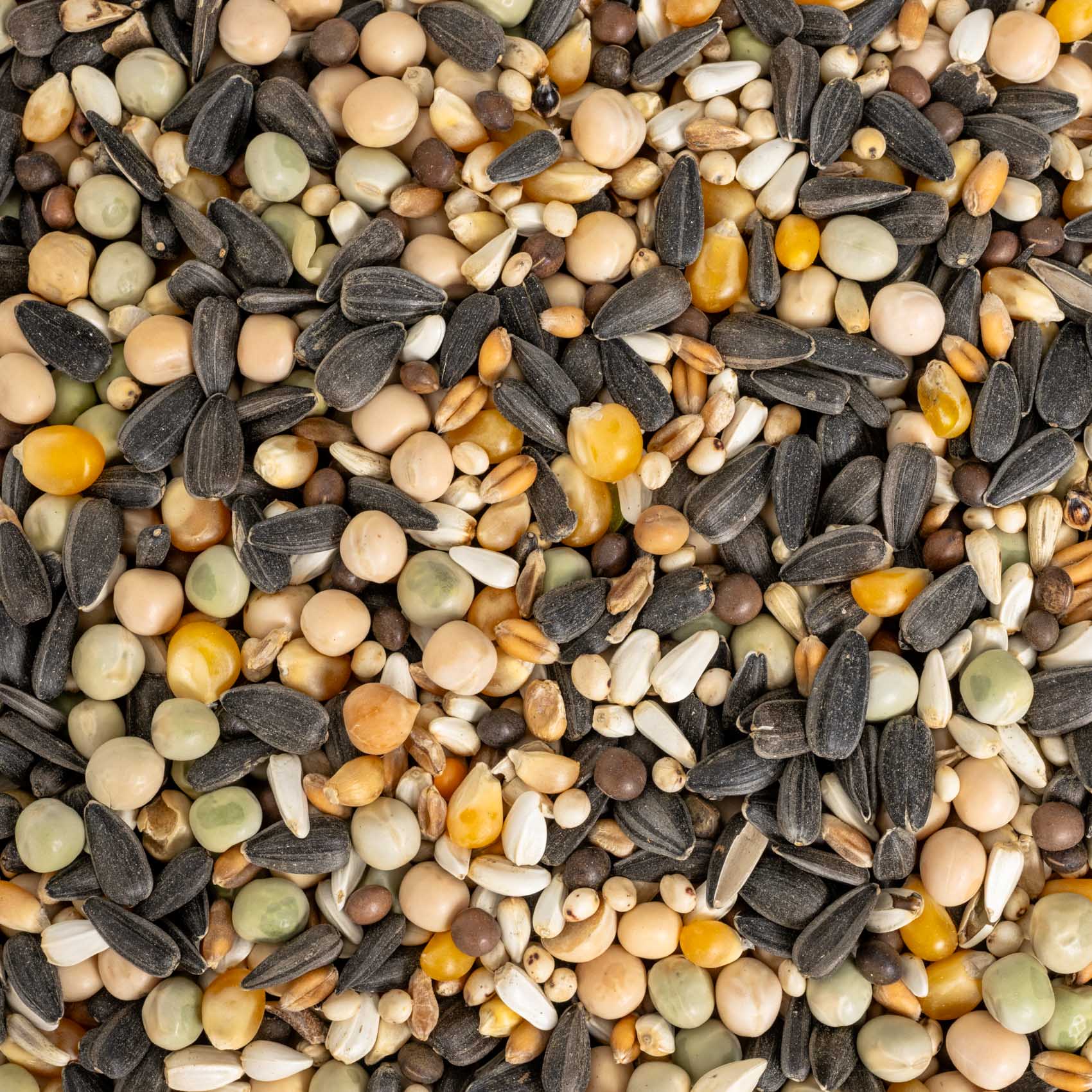 rico-s-futterkiste-futtermittel-keimfutter-gro-e-papageien-vogelfutter-500-g image 2