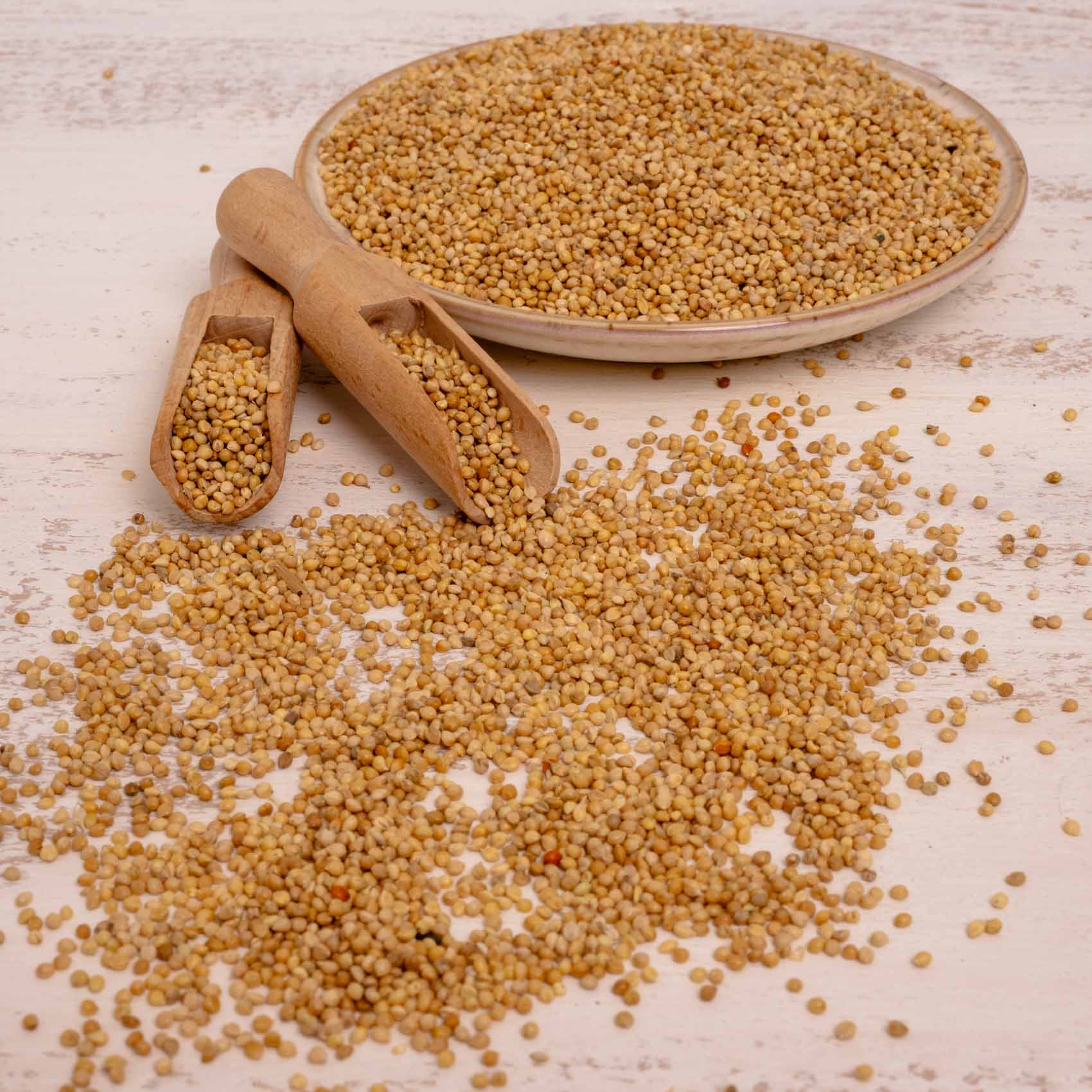 rico-s-futterkiste-senegalhirse-vogelfutter-500-g-feink-rnig image 3