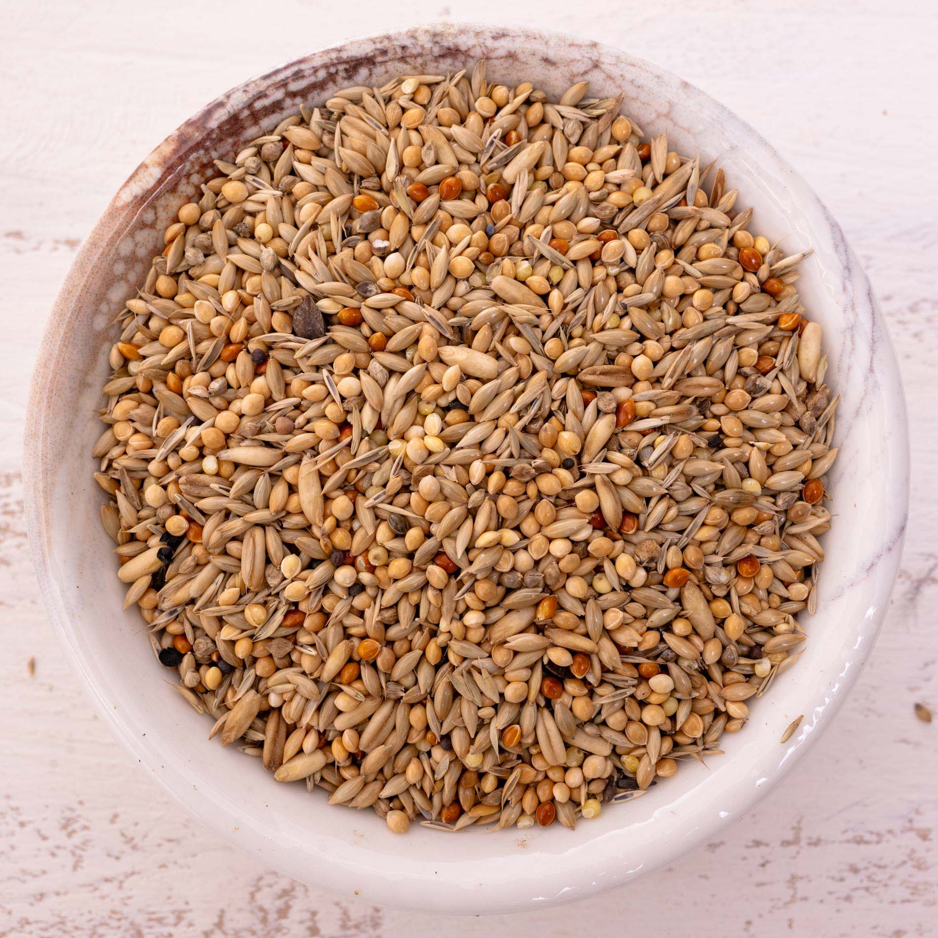 rico-s-wellensittich-spezial-2-k-rnerfutter-1-kg image 1