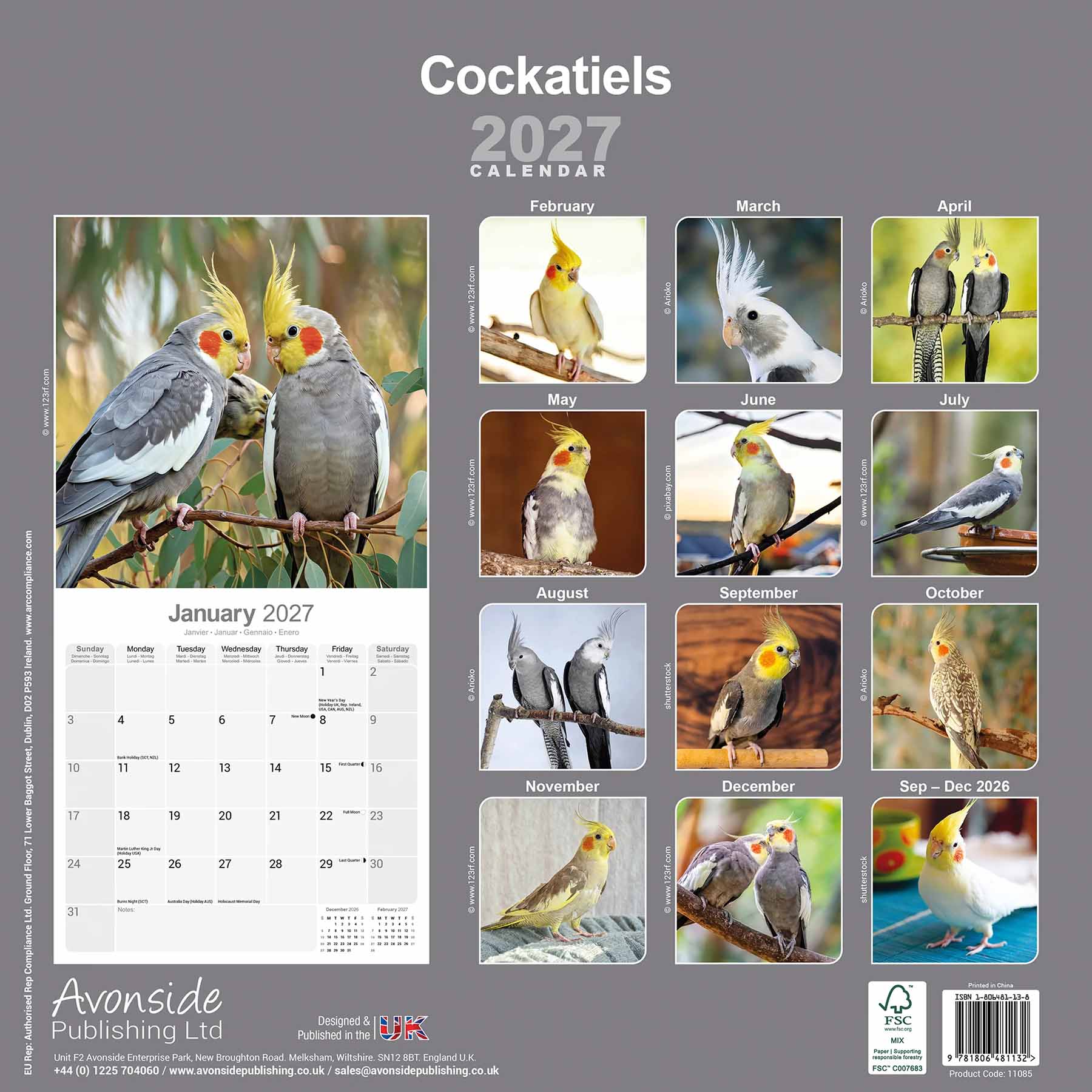 rico-s-futterkiste-kalender-nymphensittich-2027-wandkalender-16-monate image 2