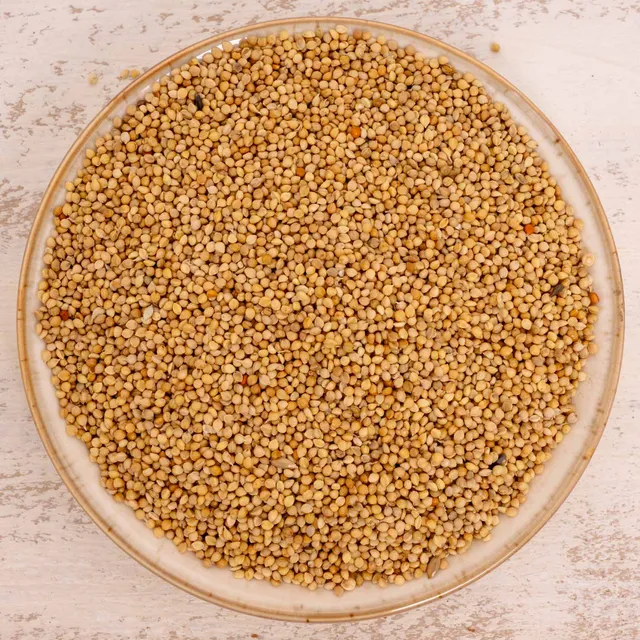 rico-s-futterkiste-senegalhirse-vogelfutter-500-g-feink-rnig image 1