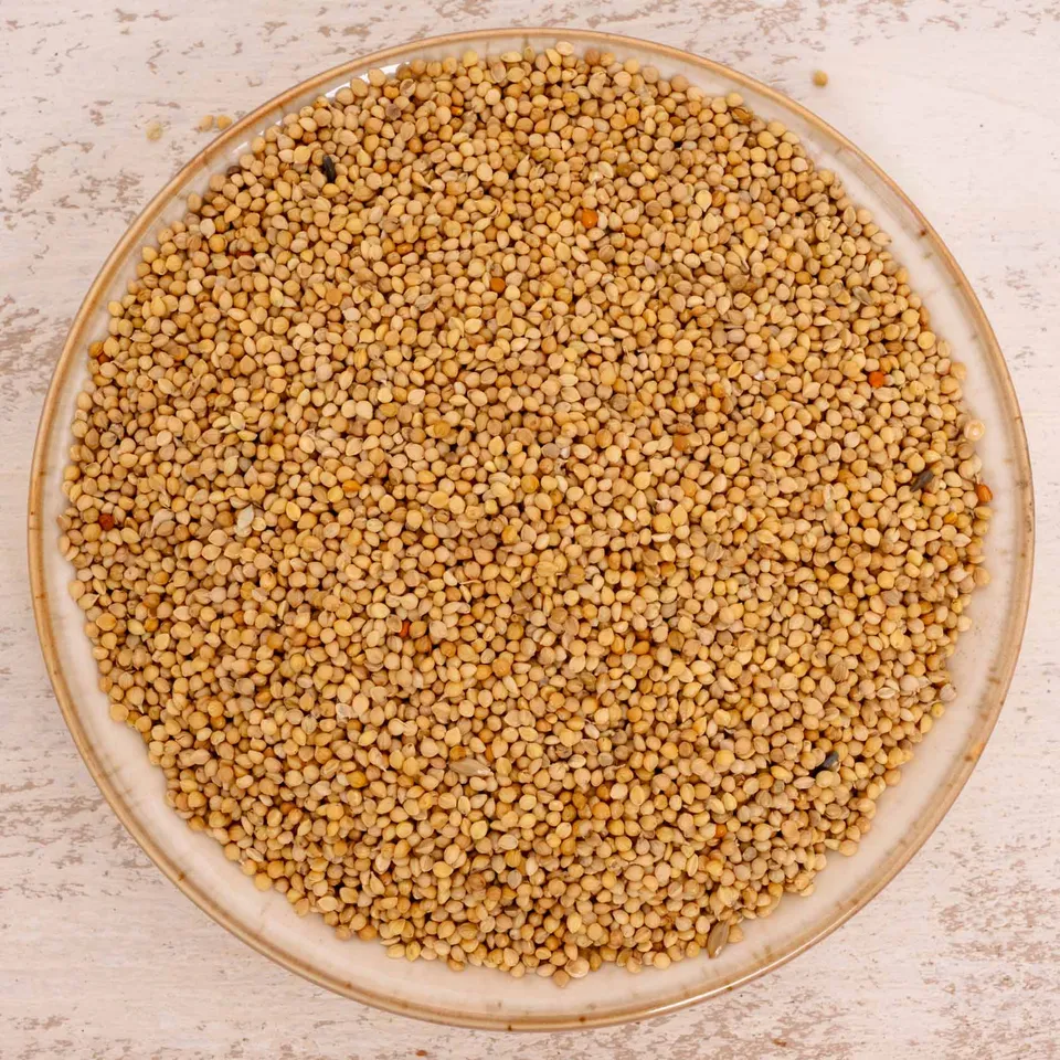 rico-s-futterkiste-senegalhirse-vogelfutter-500-g-feink-rnig image 1