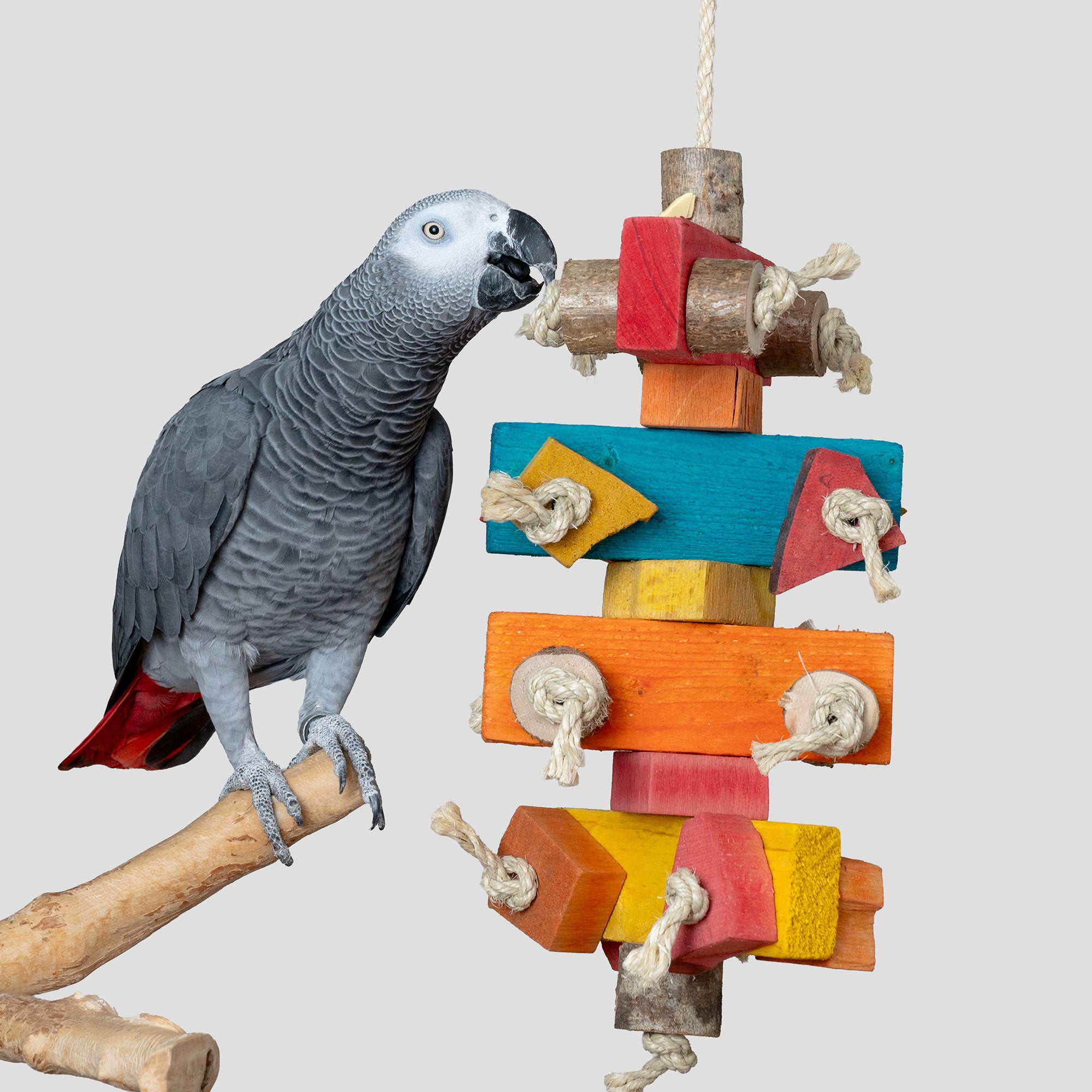 rico-s-futterkiste-kunterbunt-papageienspielzeug-schreddern-holz-40-cm image 2