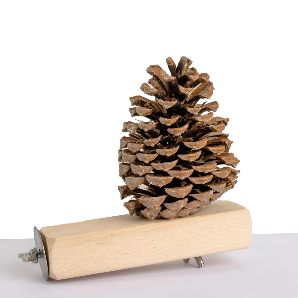 rico-s-futterkiste-jumbo-versteckzapfen-papageienspielzeug-holz image 1