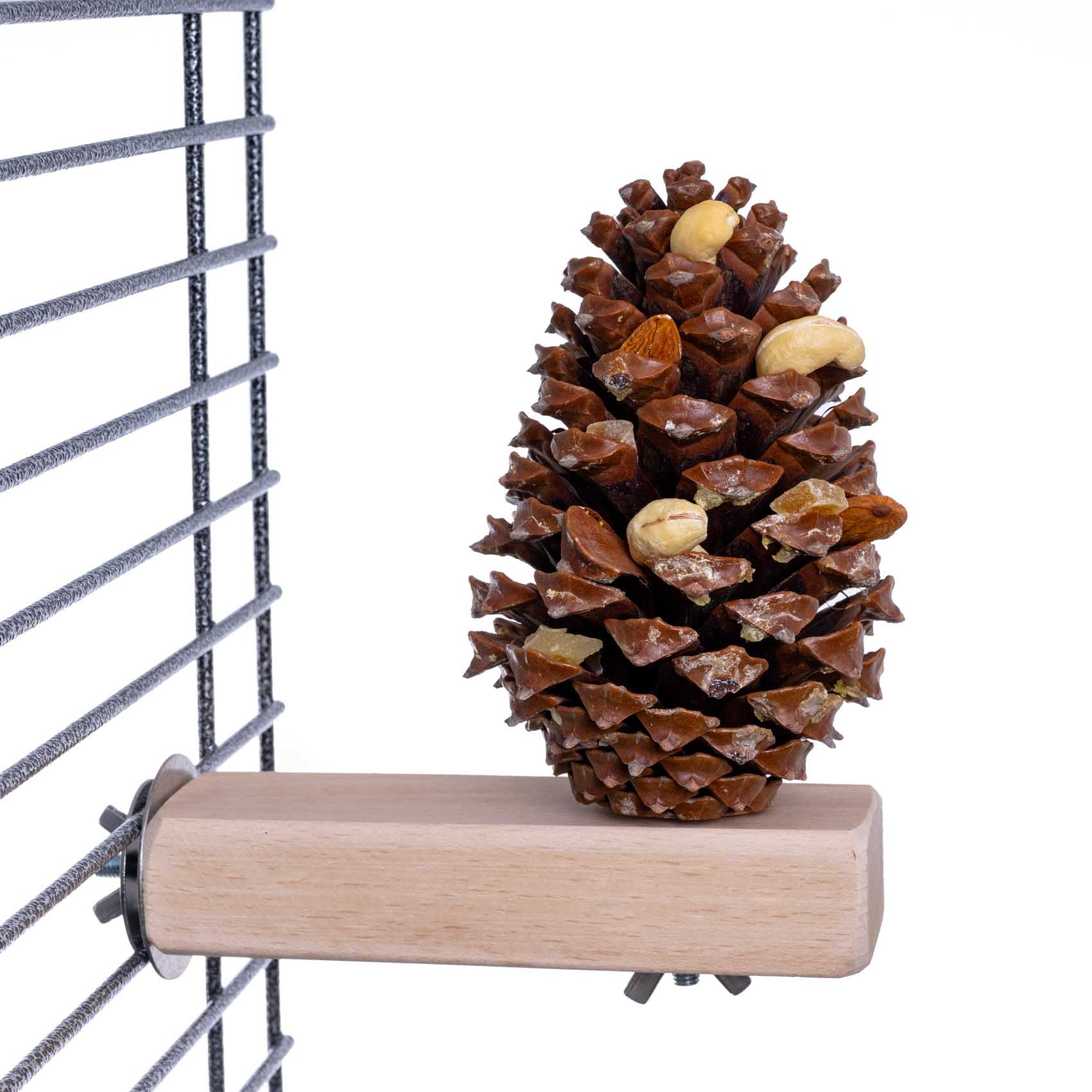rico-s-futterkiste-jumbo-versteckzapfen-papageienspielzeug-holz image 2
