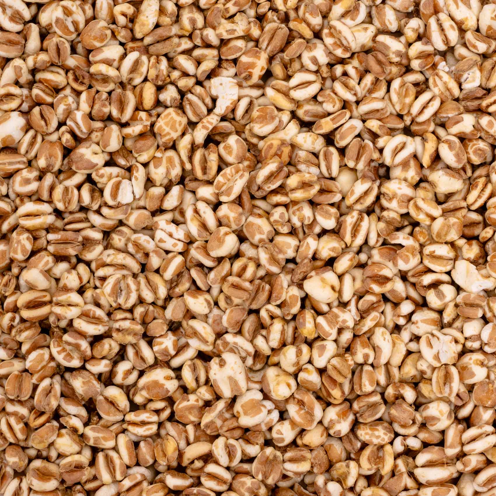 rico-s-futterkiste-einzelsaaten-weizen-gepufft-vogelfutter-100-g image 2