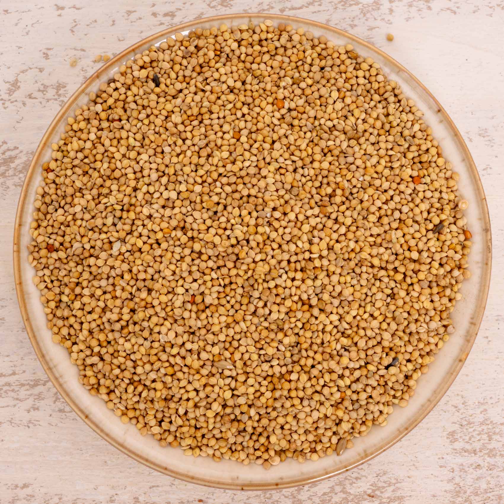 rico-s-futterkiste-senegalhirse-vogelfutter-500-g-feink-rnig image 1