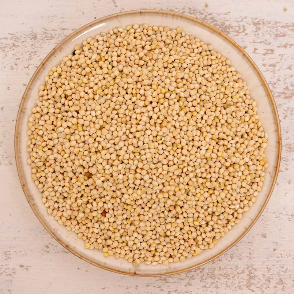 rico-s-futterkiste-silberhirse-lose-500-g-einzelfutter image 1