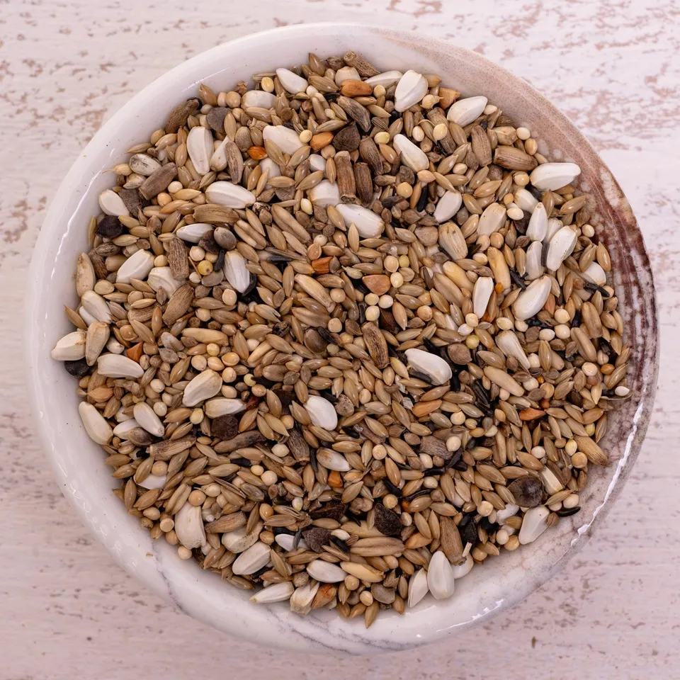 rico-s-futterkiste-agaporniden-spezial-sittichfutter-1-kg-beeren image 1