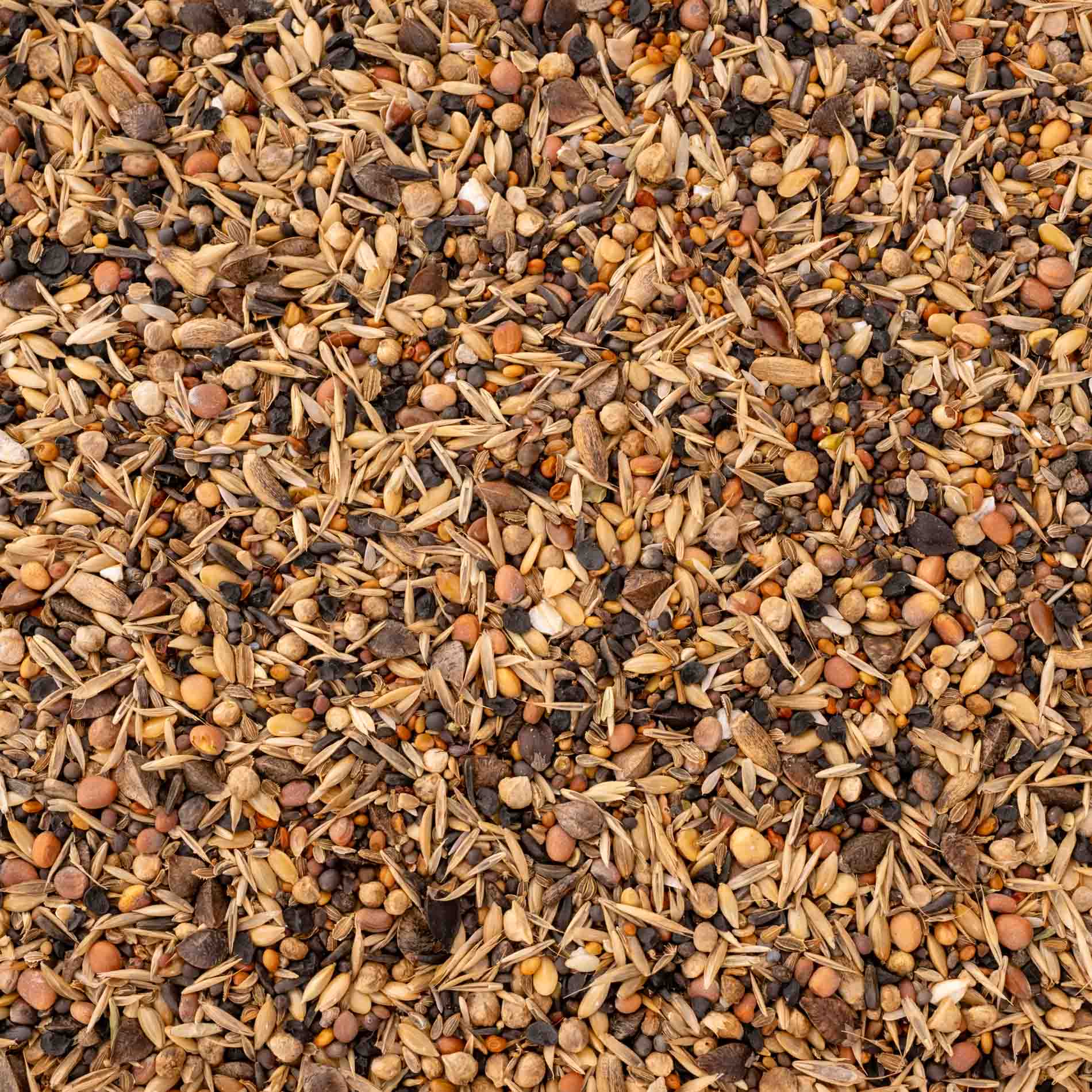 rico-s-futterkiste-wildsaaten-vogelfutter-500-g-23-wild-grassamen image 2