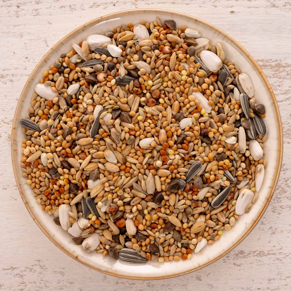 rico-s-futterkiste-gro-nymphensittich-spezial-1-k-rnermischung-1-kg image 1