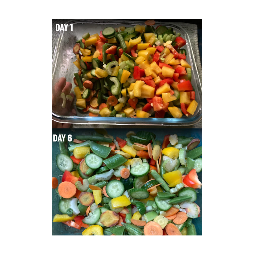 harrison-stay-fresh-food-preserver-schutzgas-vogelfutter image 4