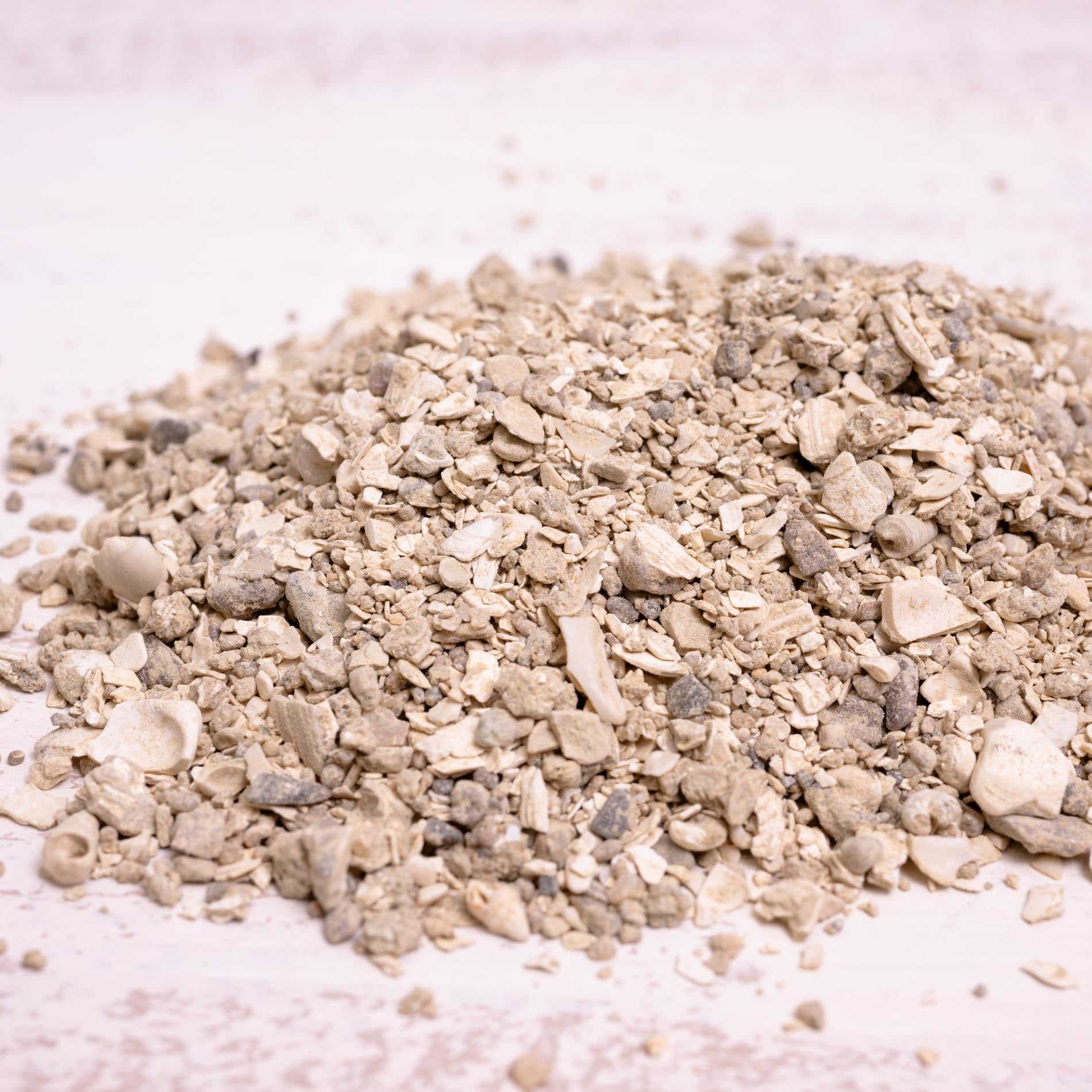 rico-s-futterkiste-muschelgrit-mittel-1-kg-vogelgrit image 1