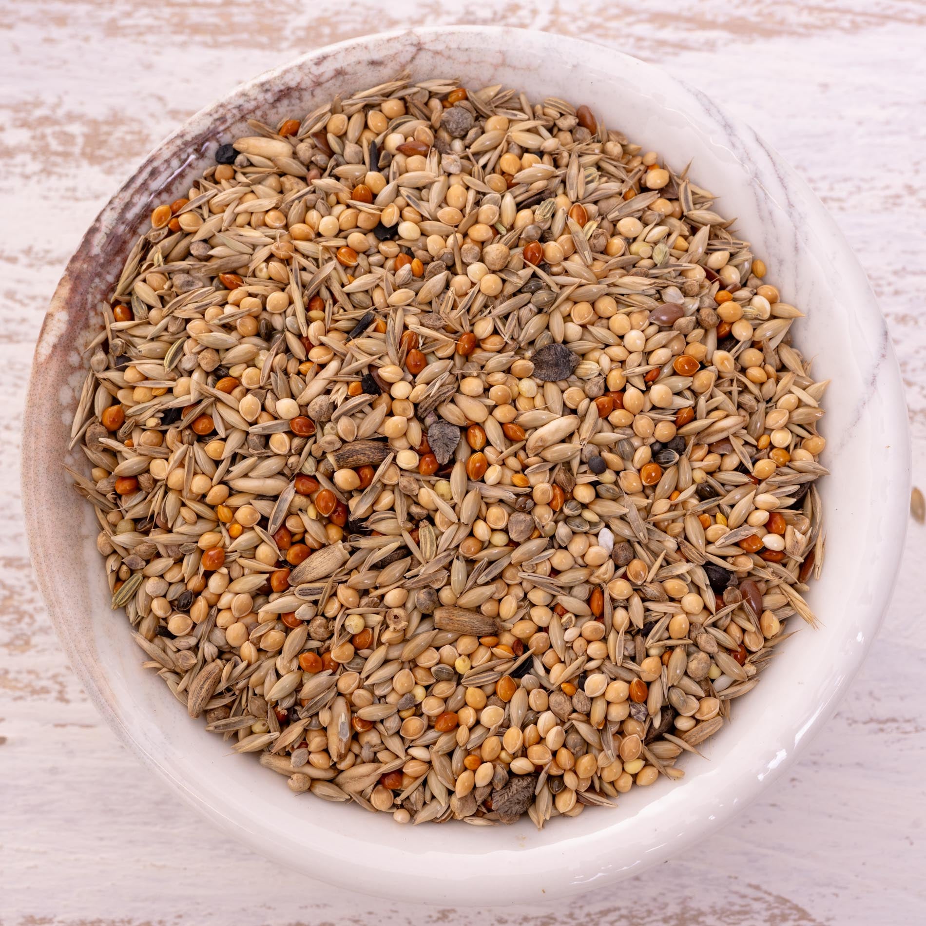 rico-s-futterkiste-gro-sittich-nymphensittichfutter-1-kg-o-sonnenbl image 1