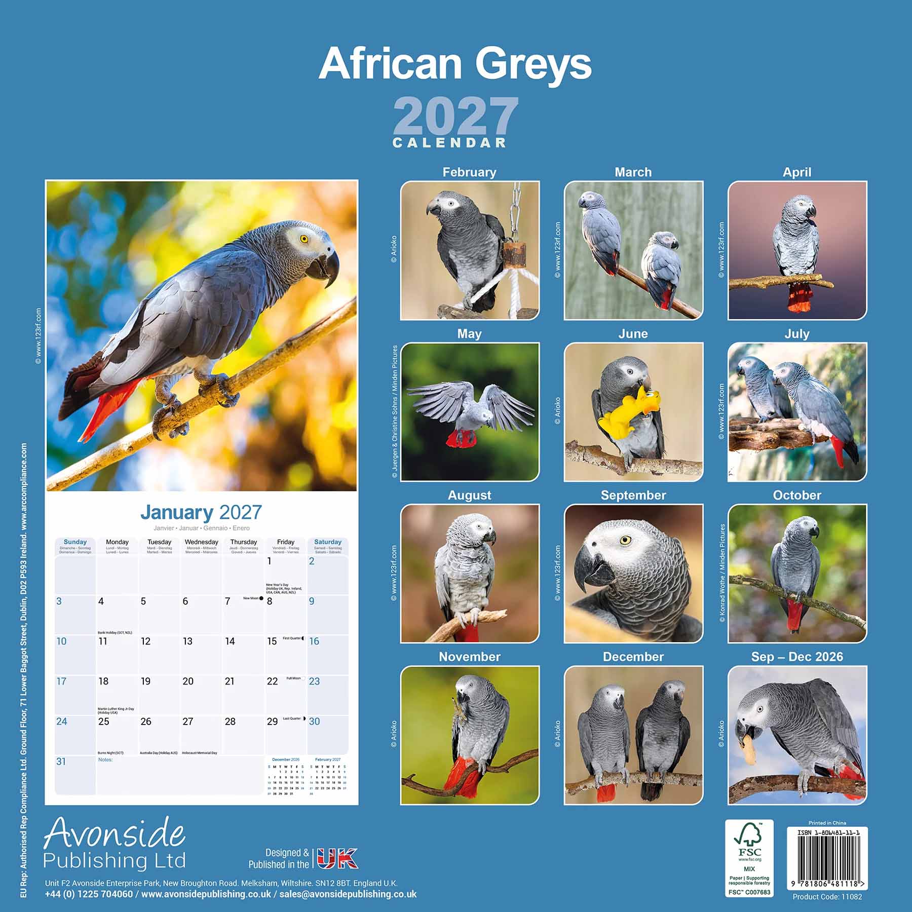 rico-s-kalender-graupapagei-2027-wandkalender-16-monate-papagei image 2
