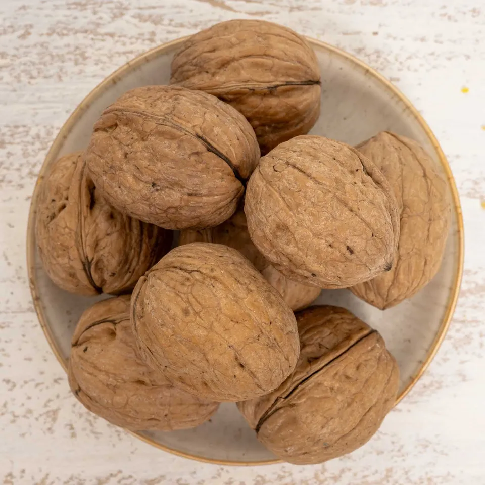 rico-s-n-sse-waln-sse-mit-schale-papageiensnack-250g image 1