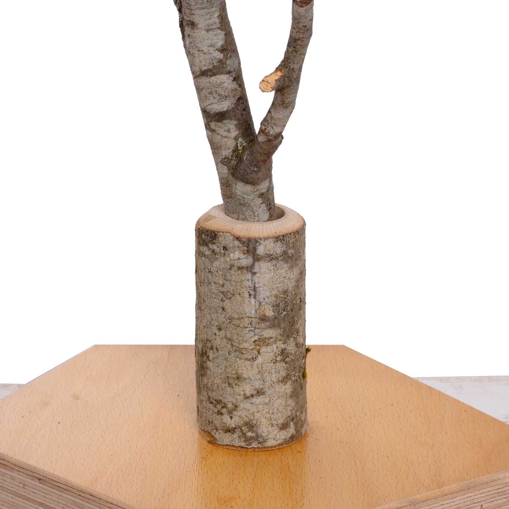 rico-s-futterkiste-asthalter-kleine-papageien-vario-freisitz-holz image 6