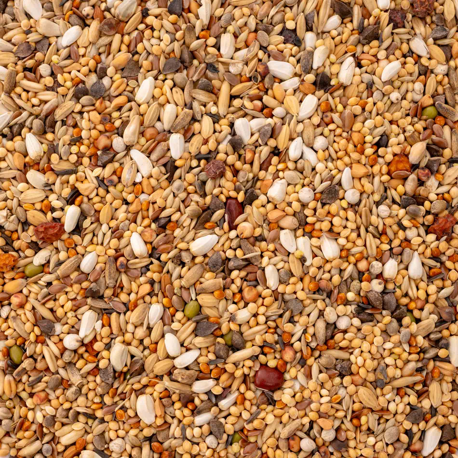 rico-s-futterkiste-gro-sittich-spezial-3-k-rnermischung-1-kg-ohne-sonnenblumen image 3