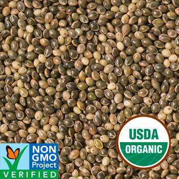 harrison-conversion-grey-millet-vogelfutter-bio-5lb-beutel image 2