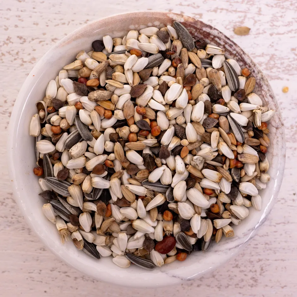 rico-s-futterkiste-amazonen-spezial-2-papageienfutter-1-kg-22-saaten image 1