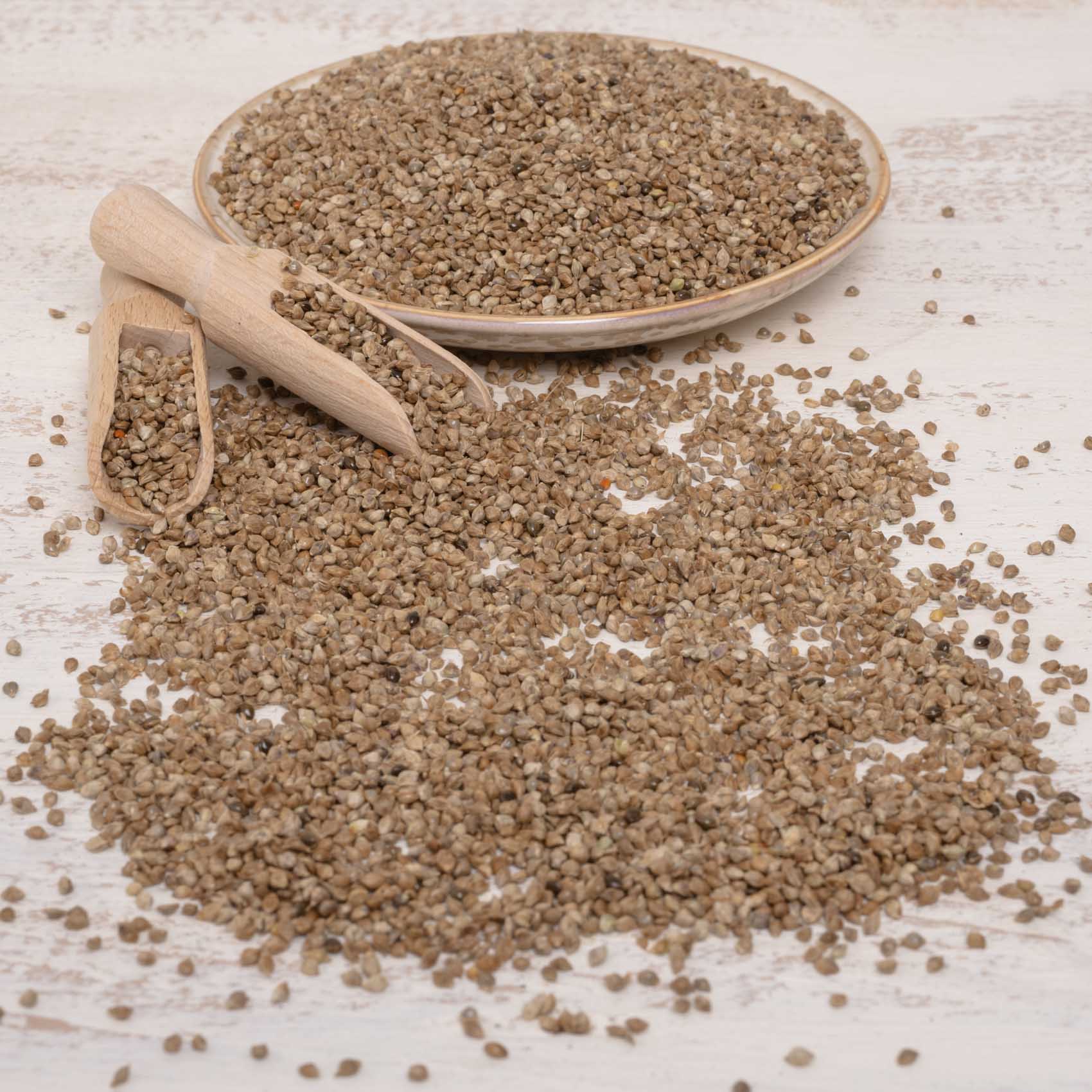 rico-s-futterkiste-japanhirse-einzelsaaten-vogelfutter-400-g image 2