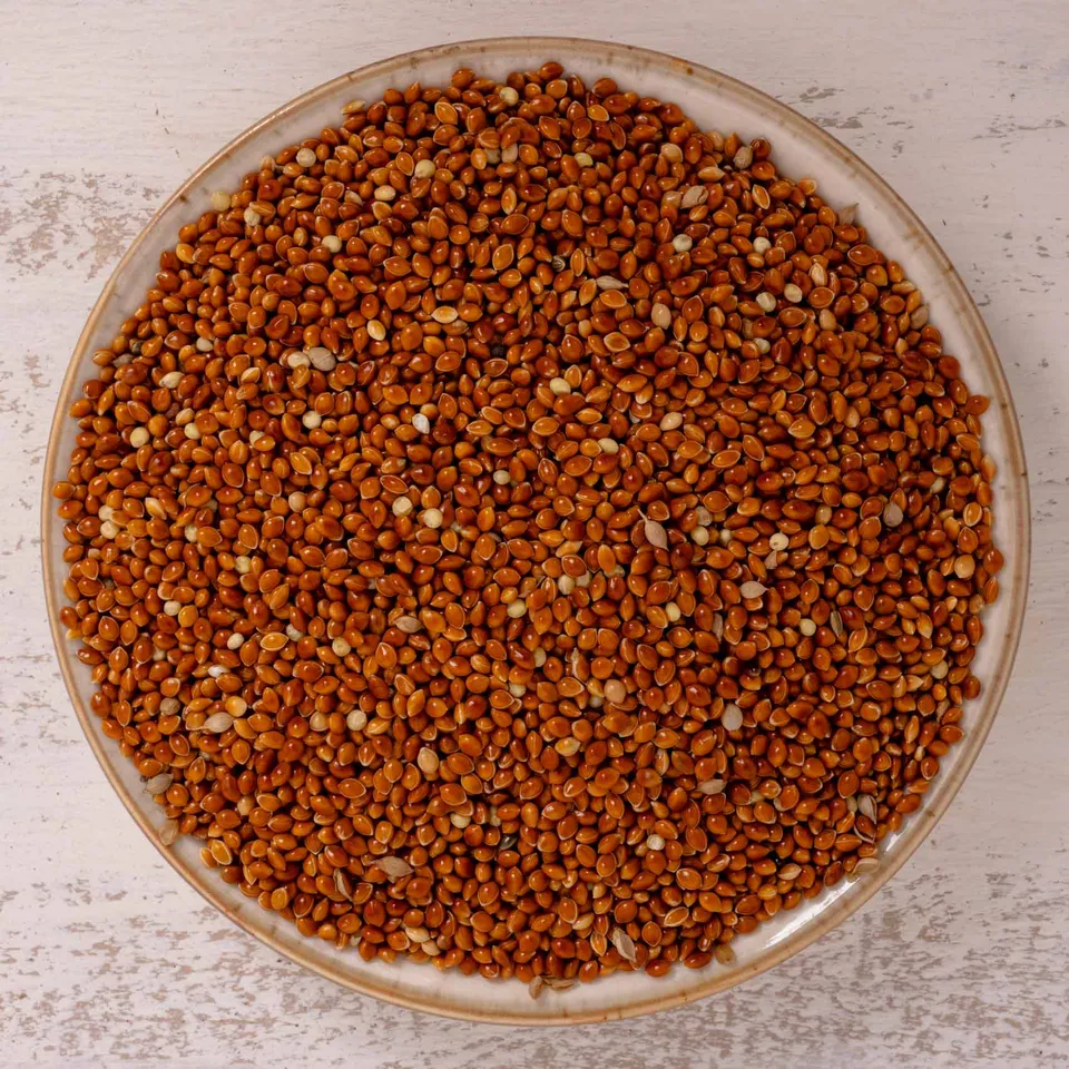 rico-s-futterkiste-rote-hirse-vogelfutter-500-g-lose image 1