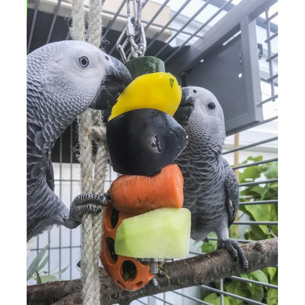 rico-s-futterkiste-fruchtspie-edelstahl-gro-papageien-31-cm image 3