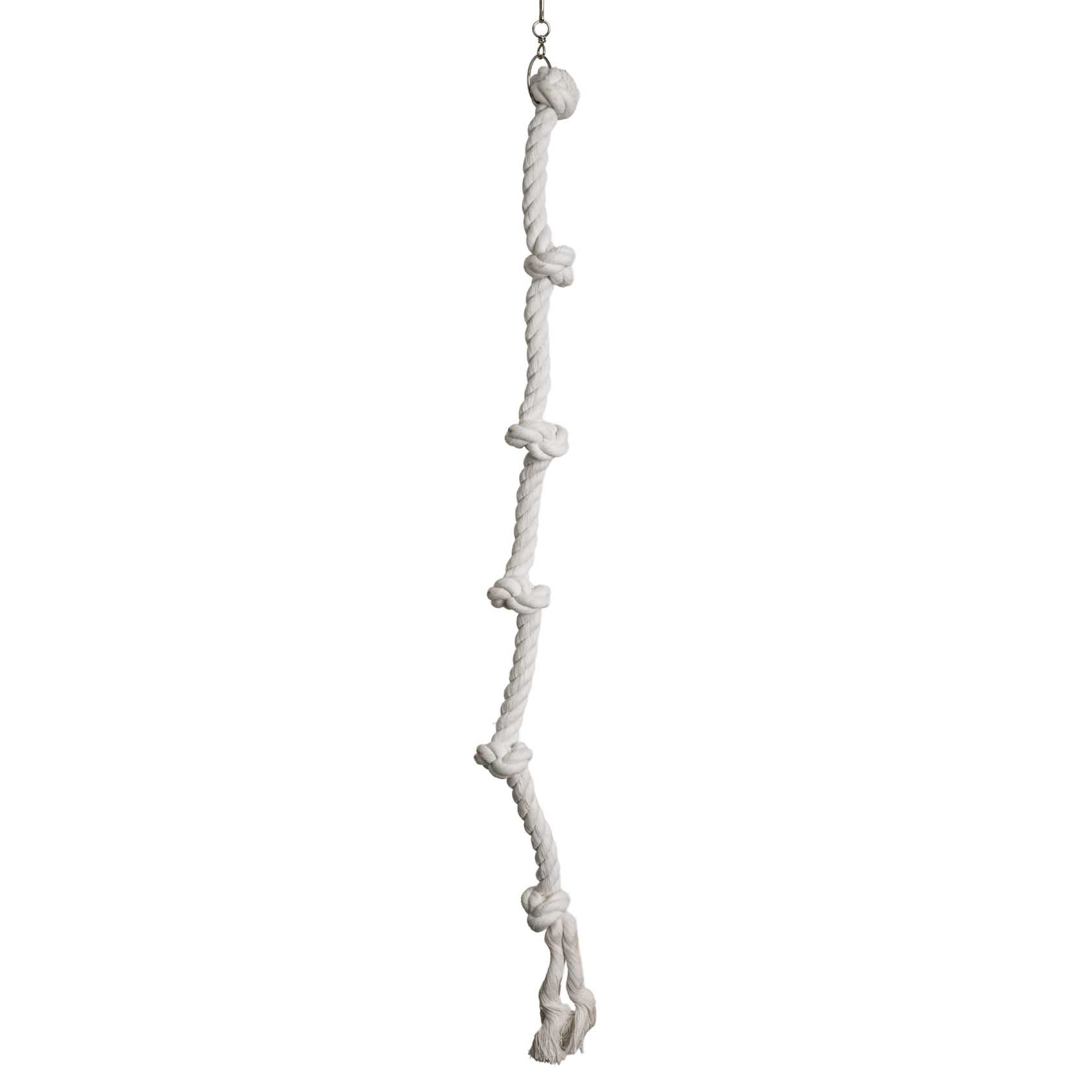 nobby-baumwollseil-6-knoten-lang-100-cm-vogelseil-sittich-papagei image 1