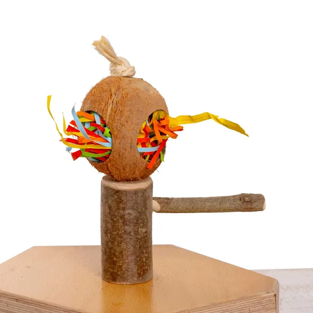 rico-s-futterkiste-knabberbogen-sittichspielzeug-schaukel-holz image 1