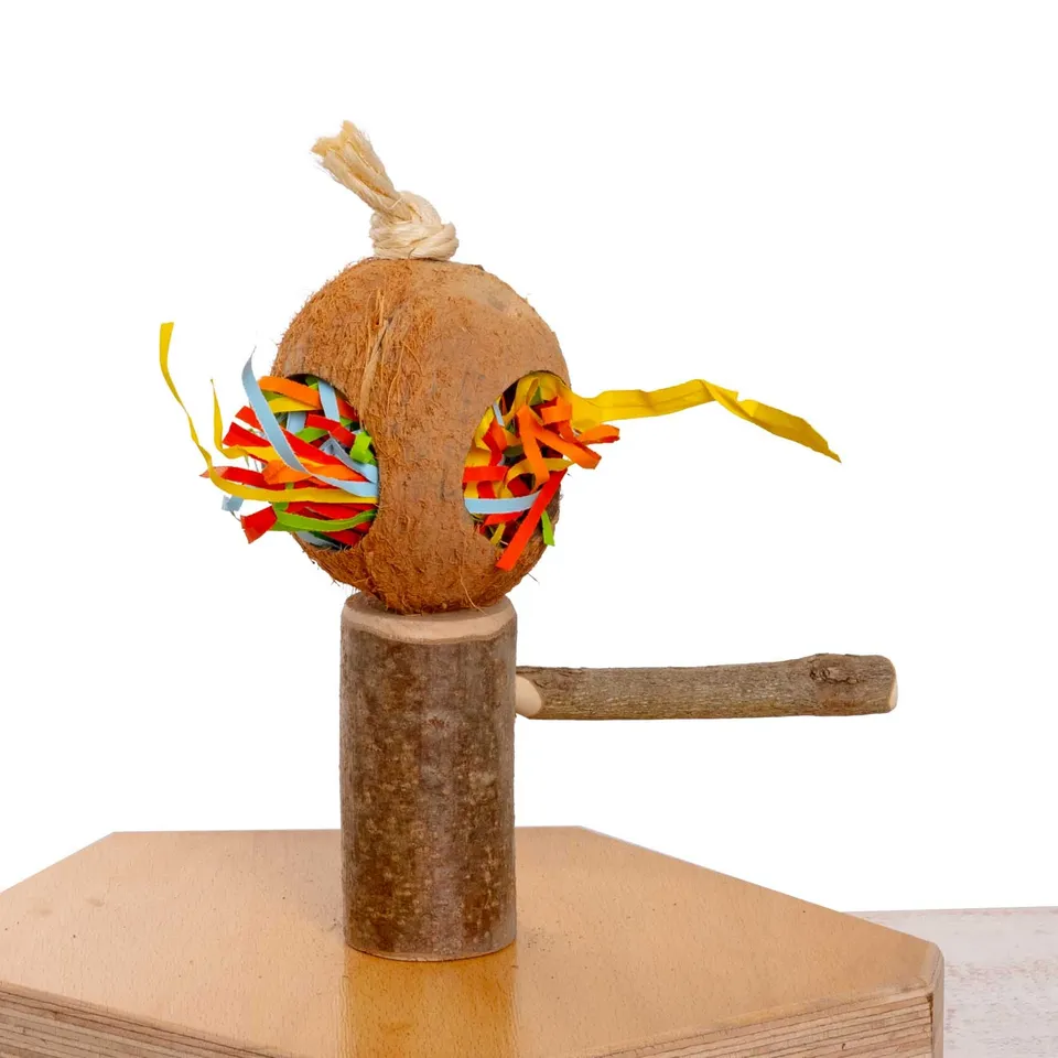 rico-s-futterkiste-knabberbogen-sittichspielzeug-schaukel-holz image 1
