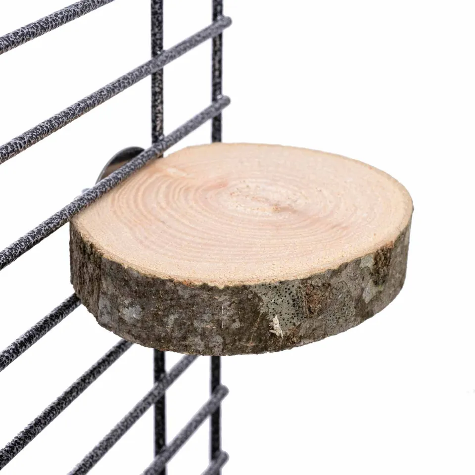 rico-s-futterkiste-baumscheiben-sitzbrett-volierenzubeh-r-holz image 1
