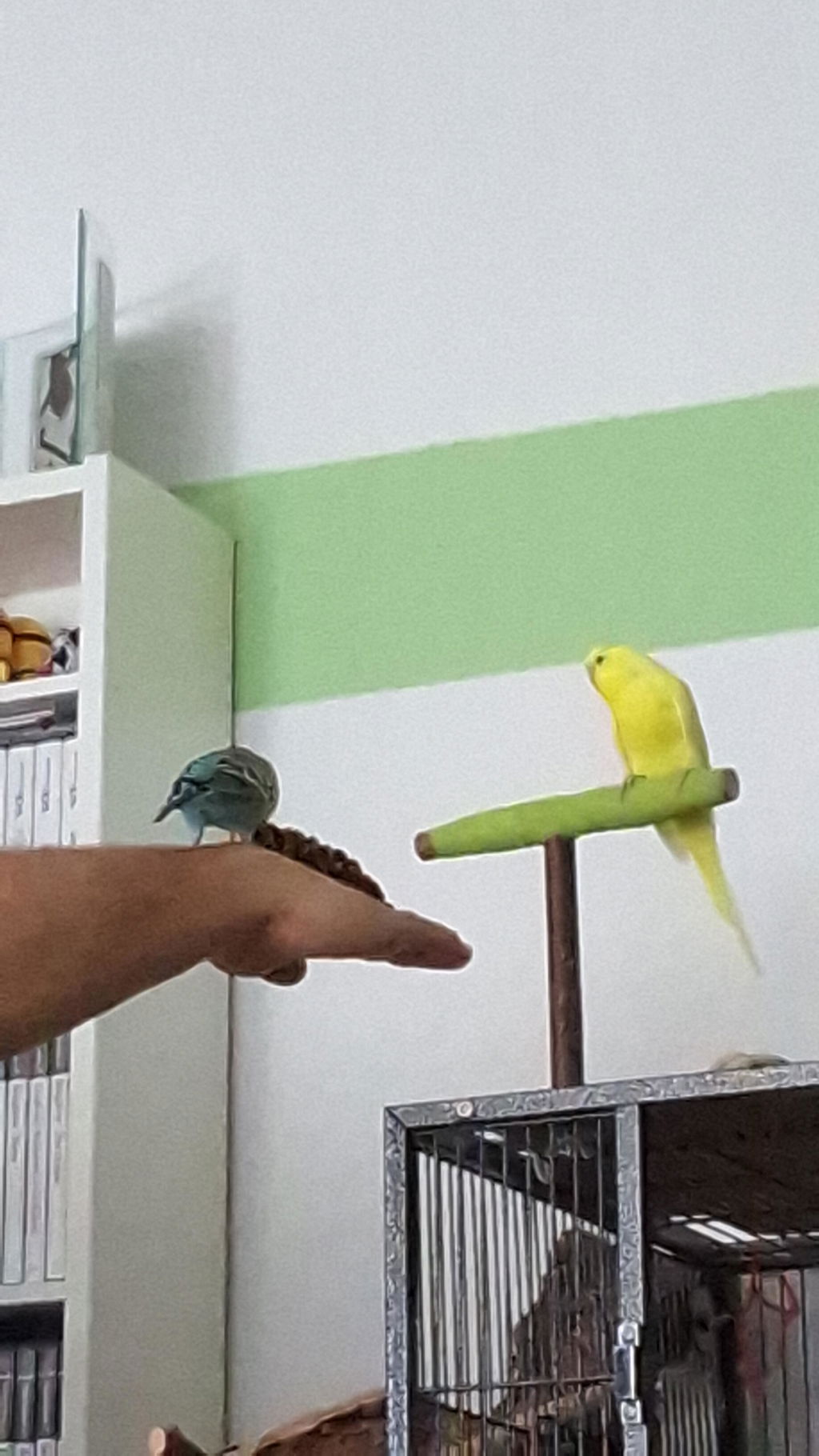 Top Beschäftigung