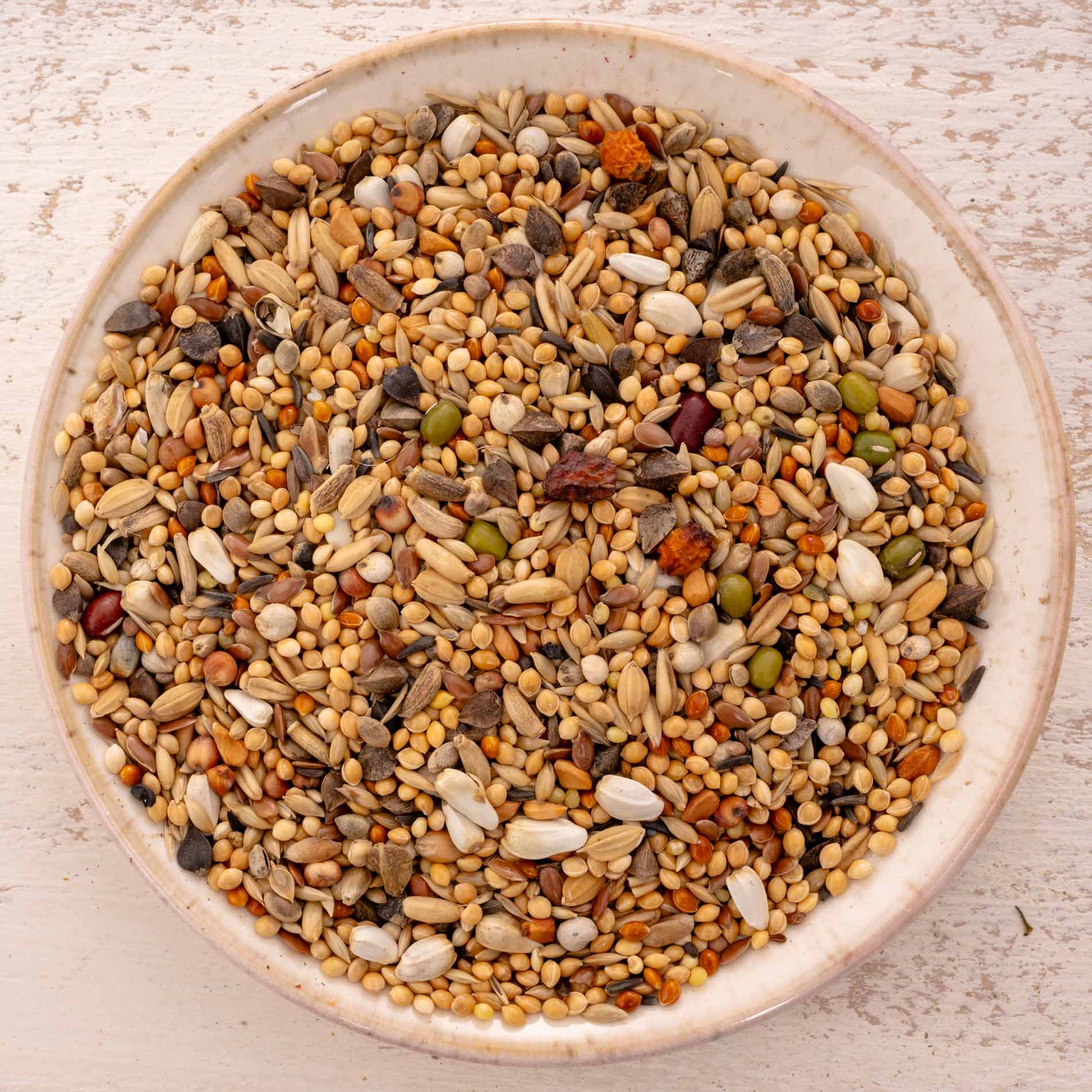 rico-s-futterkiste-gro-sittich-spezial-3-k-rnermischung-1-kg-ohne-sonnenblumen image 1