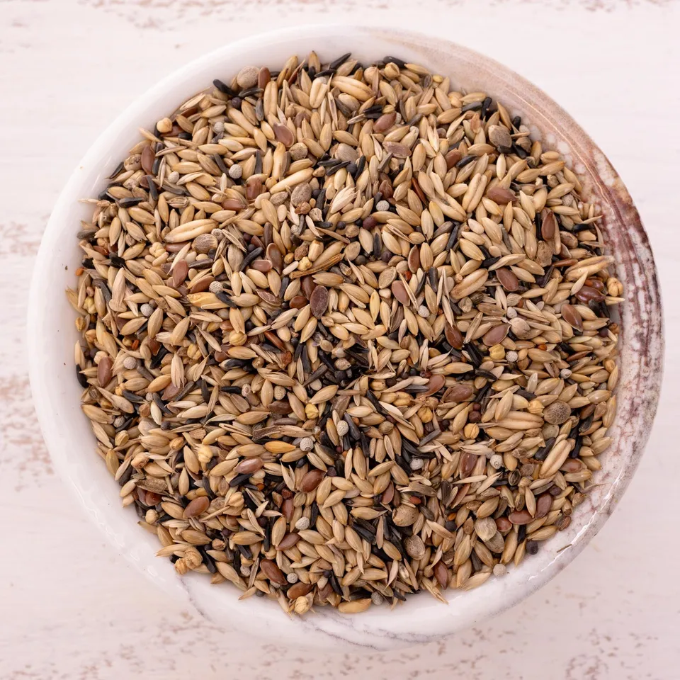 rico-s-futterkiste-kanarienfutter-500-g-vogelfutter-mit-glanz image 1