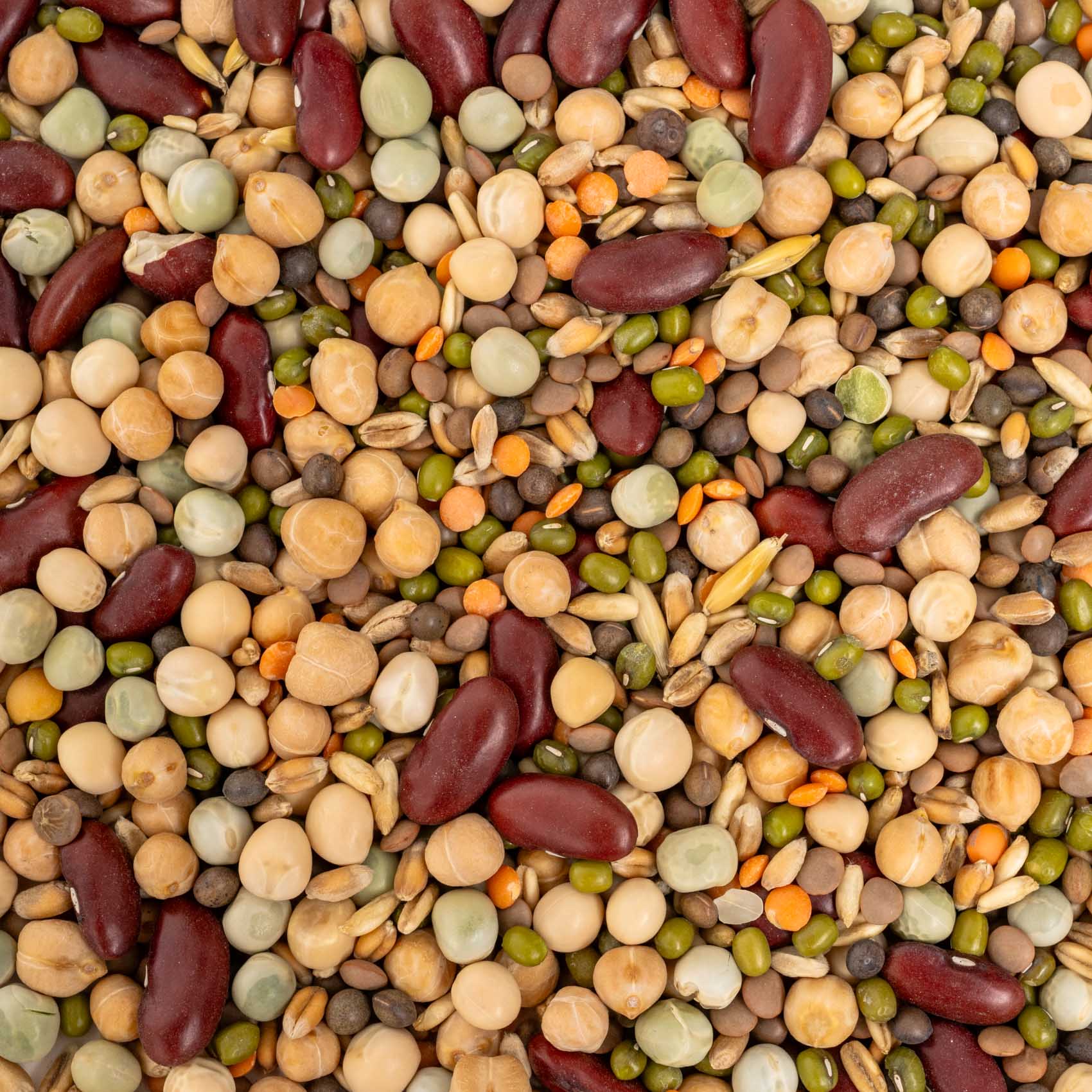 rico-s-futterkiste-keimfutter-eiwei-futter-papageienfutter-500-g-protein image 2