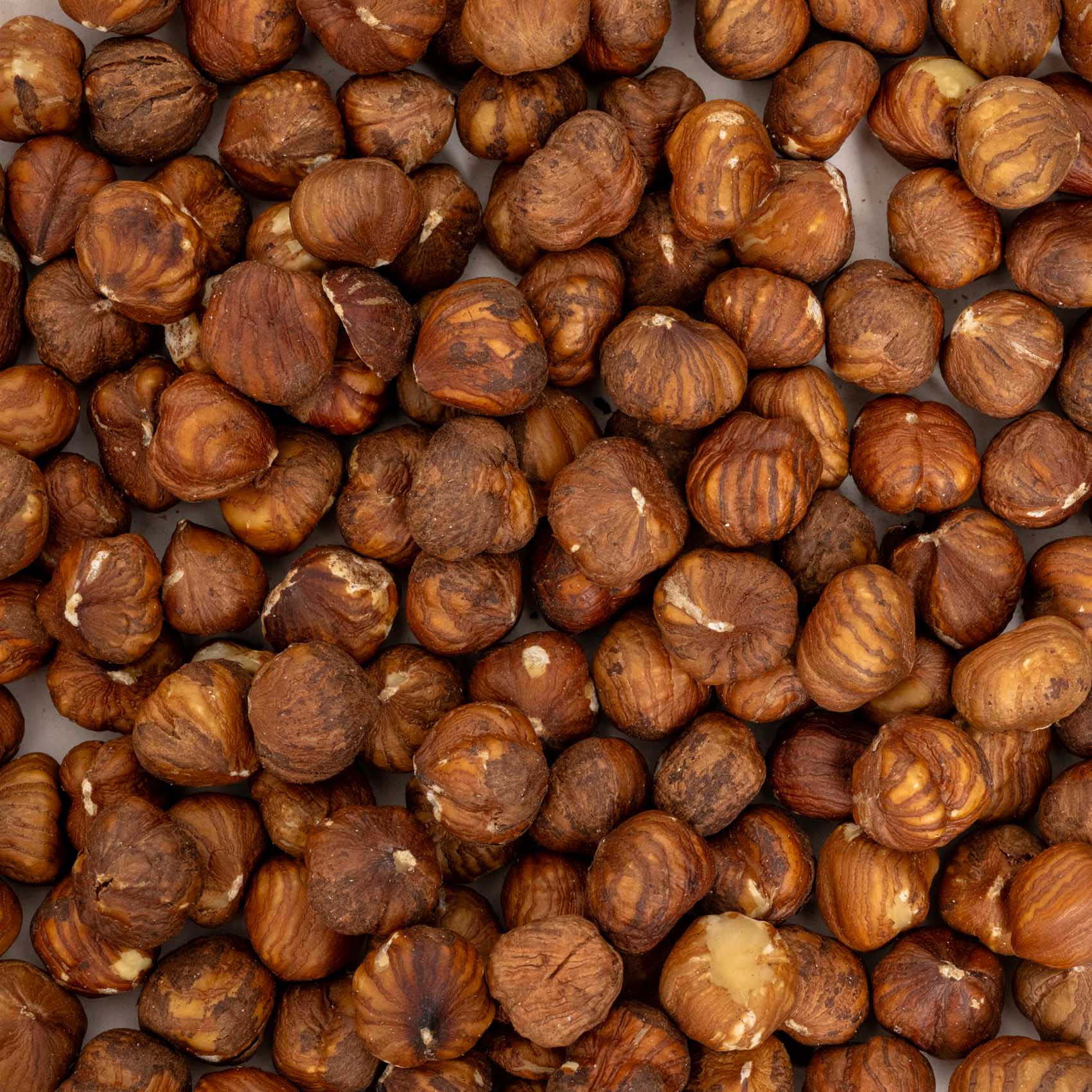rico-s-futterkiste-haselnusskerne-papageienfutter-100-g-energie image 2