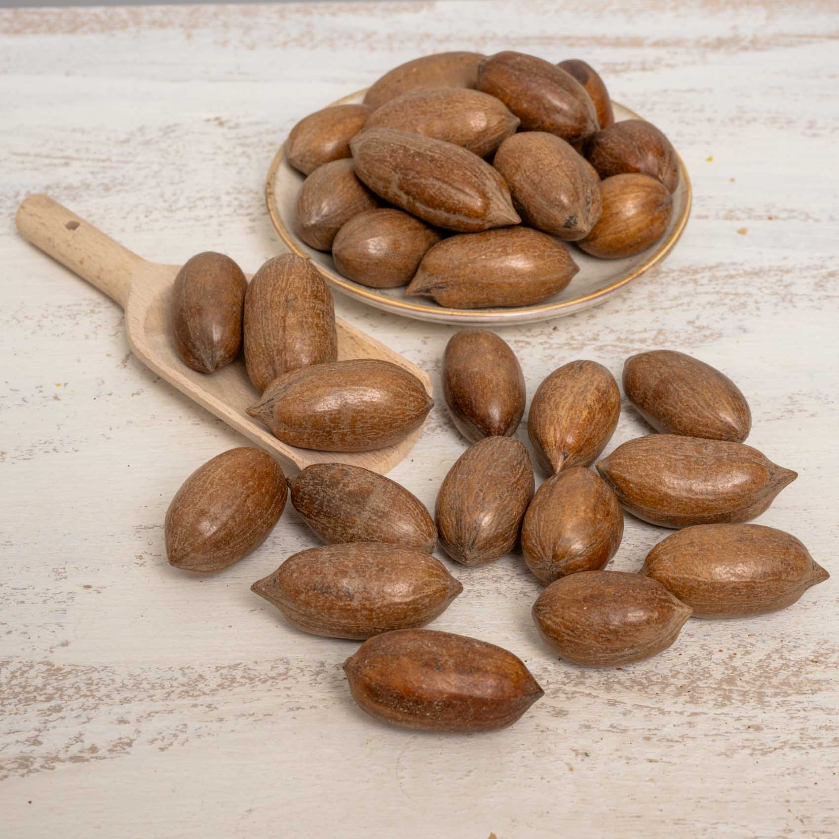 rico-s-futterkiste-pecann-sse-mit-schale-papageienfutter-400-g image 3