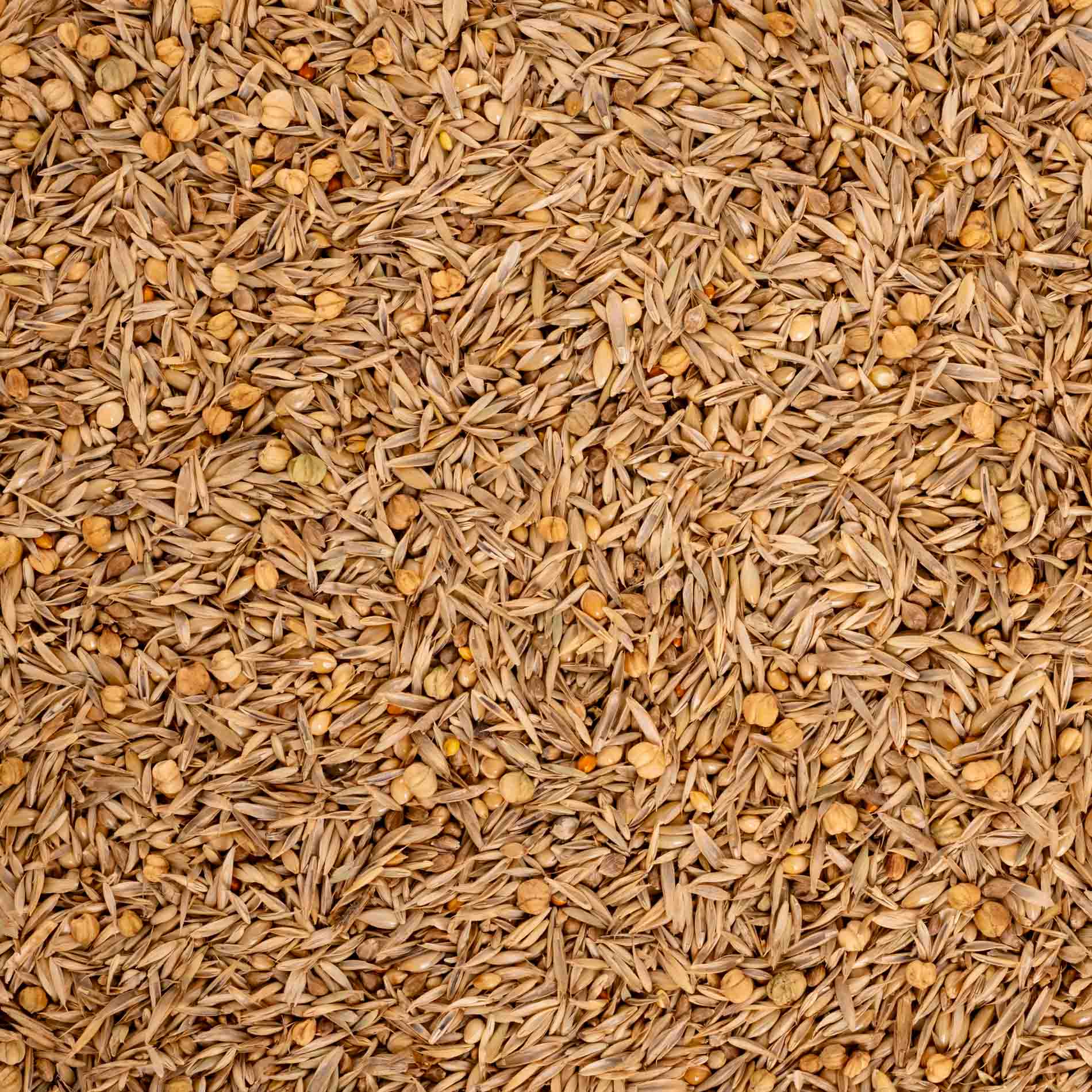 rico-s-futterkiste-erg-nzungsfutter-wellensittiche-exoten-400g image 2