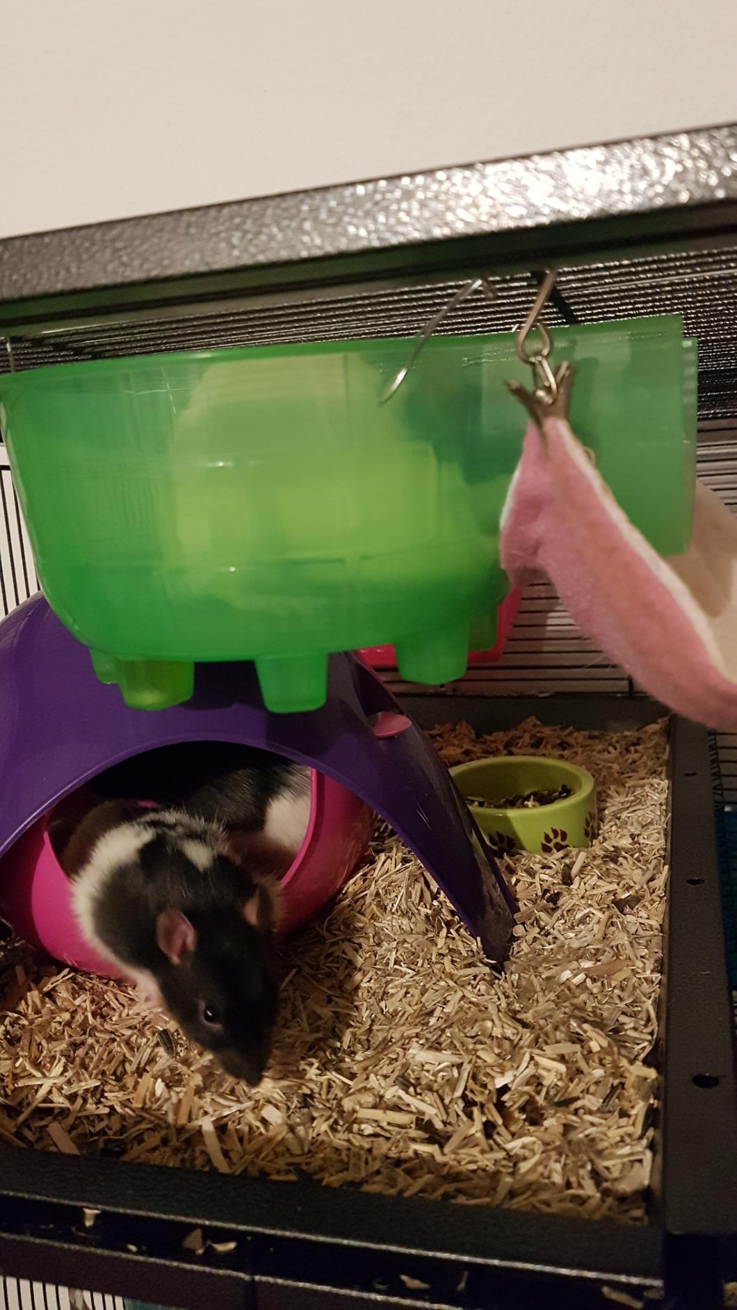 Leicht zu putzen