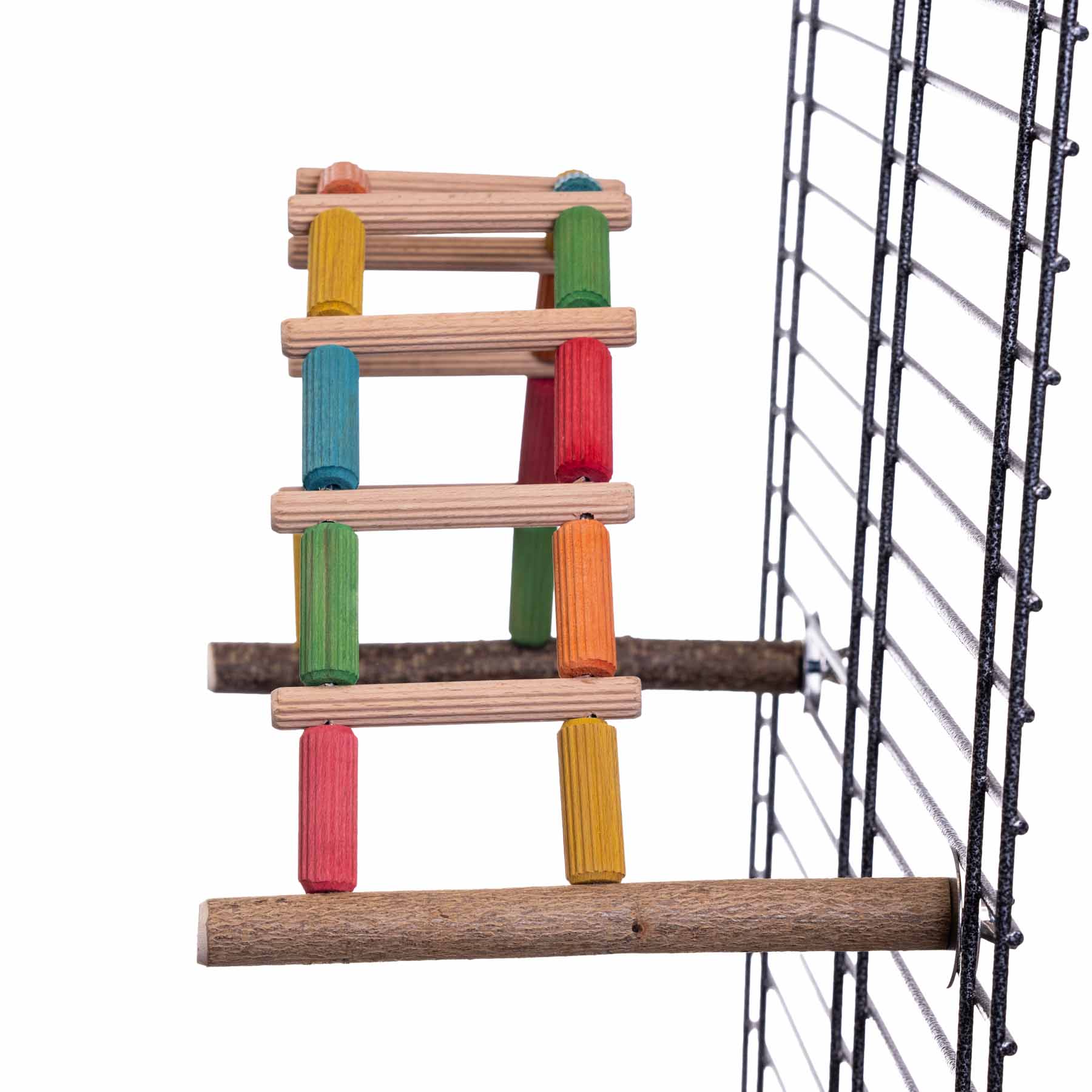rico-s-futterkiste-welli-leiter-vogelspielzeug-bunt-flexibel image 4