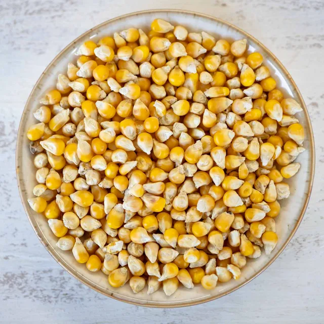 rico-s-futterkiste-einzelsaaten-perlmais-gelb-vogelfutter-500-g image 1