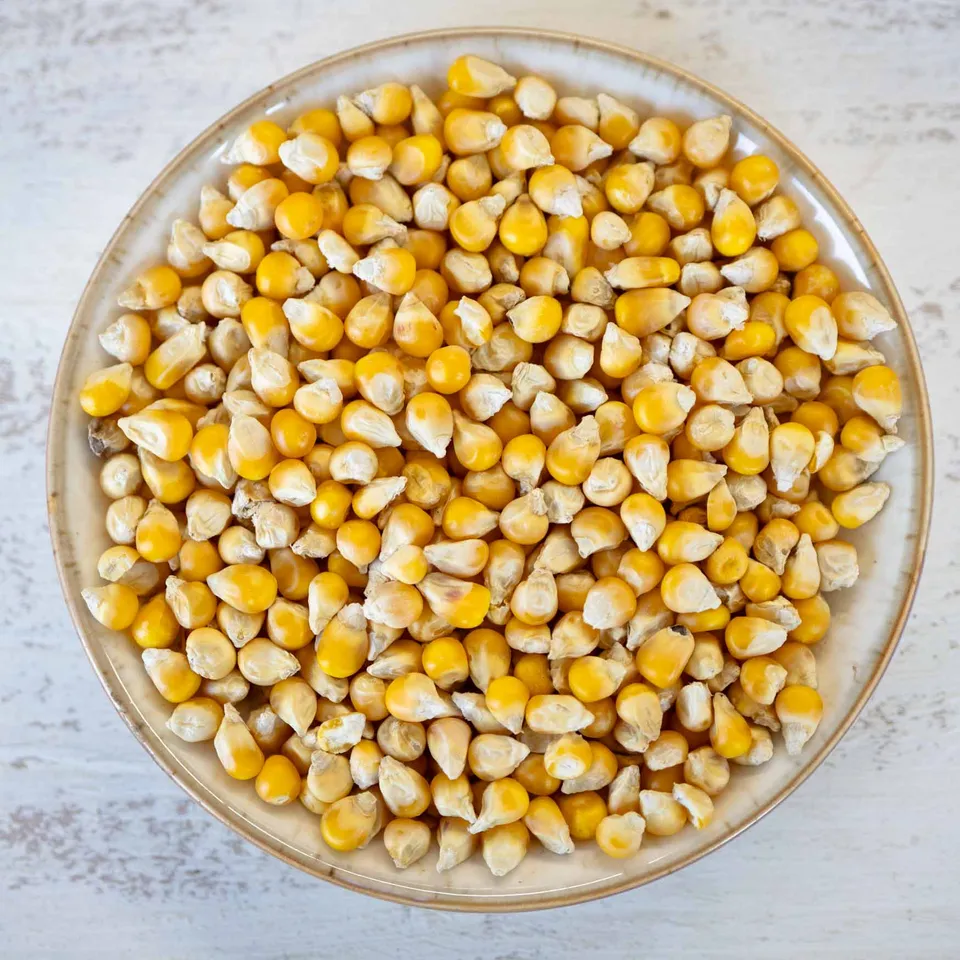 rico-s-futterkiste-einzelsaaten-perlmais-gelb-vogelfutter-500-g image 1