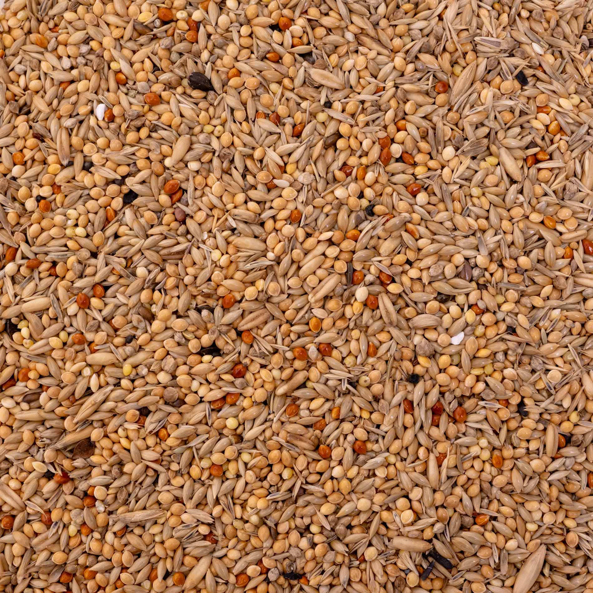 rico-s-futterkiste-wellensittich-spezial-2-futter-500-g-26-saaten image 2