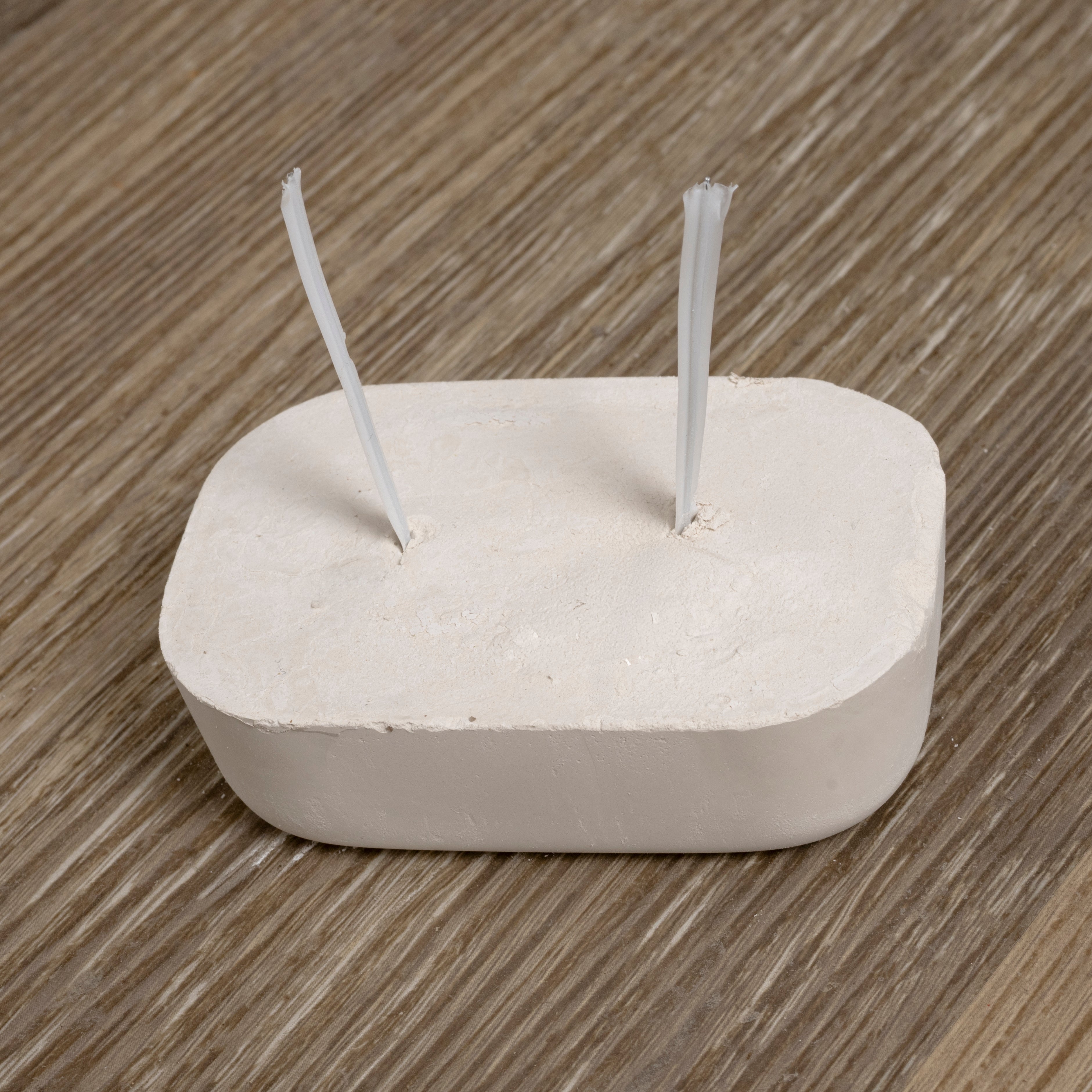 rico-s-futterkiste-gesundheit-nestor-mineralstein-100g-mit-halter image 3