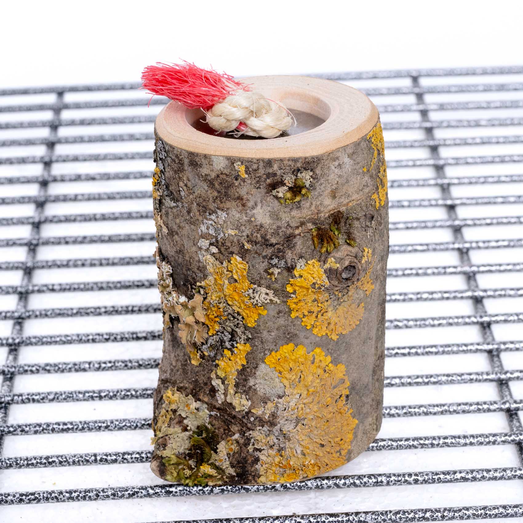 rico-s-futterkiste-leckerli-t-pfchen-intelligenzspielzeug-vario image 2