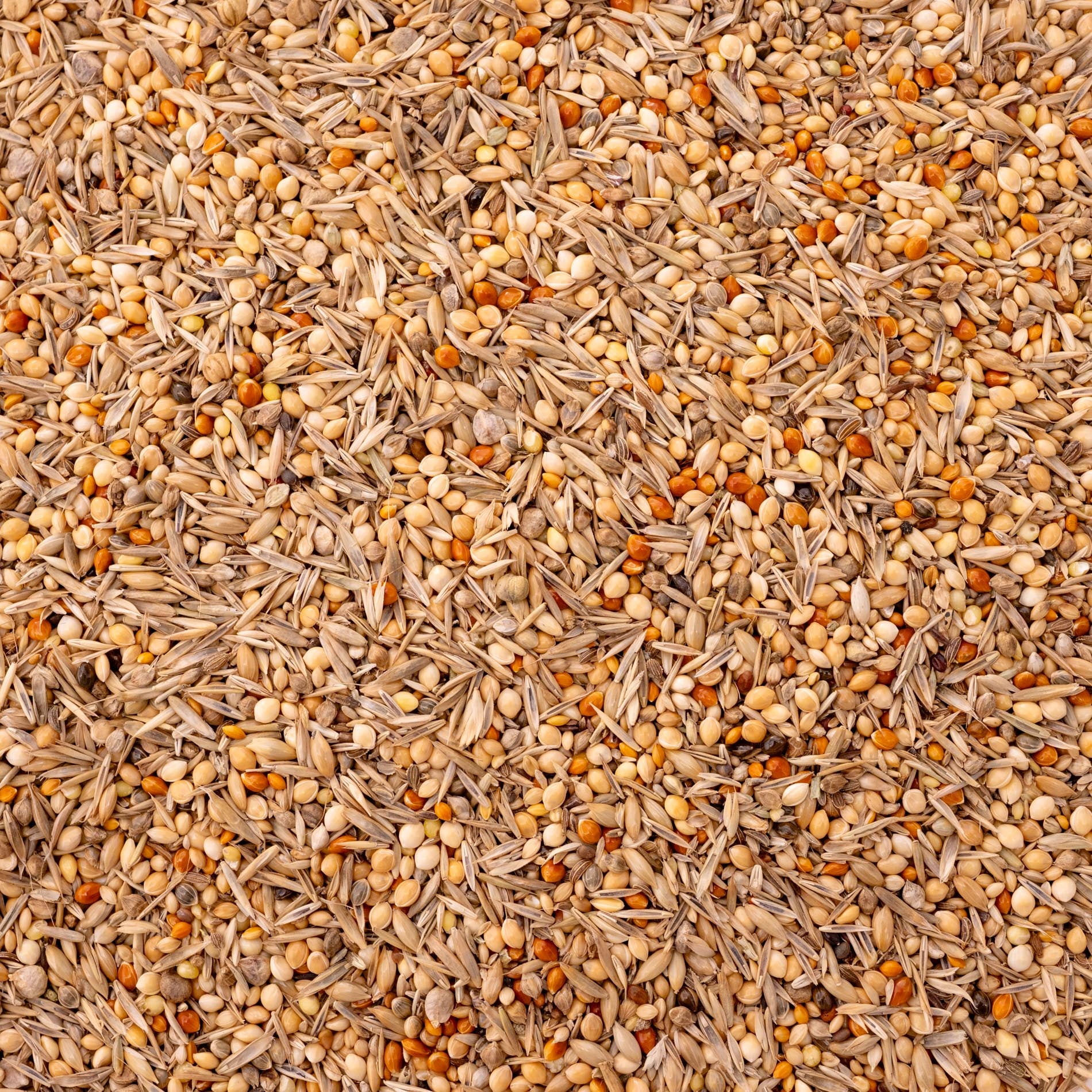 rico-s-futterkiste-wellensittich-vital-k-rnerfutter-1-kg-mit-wildsamen image 2