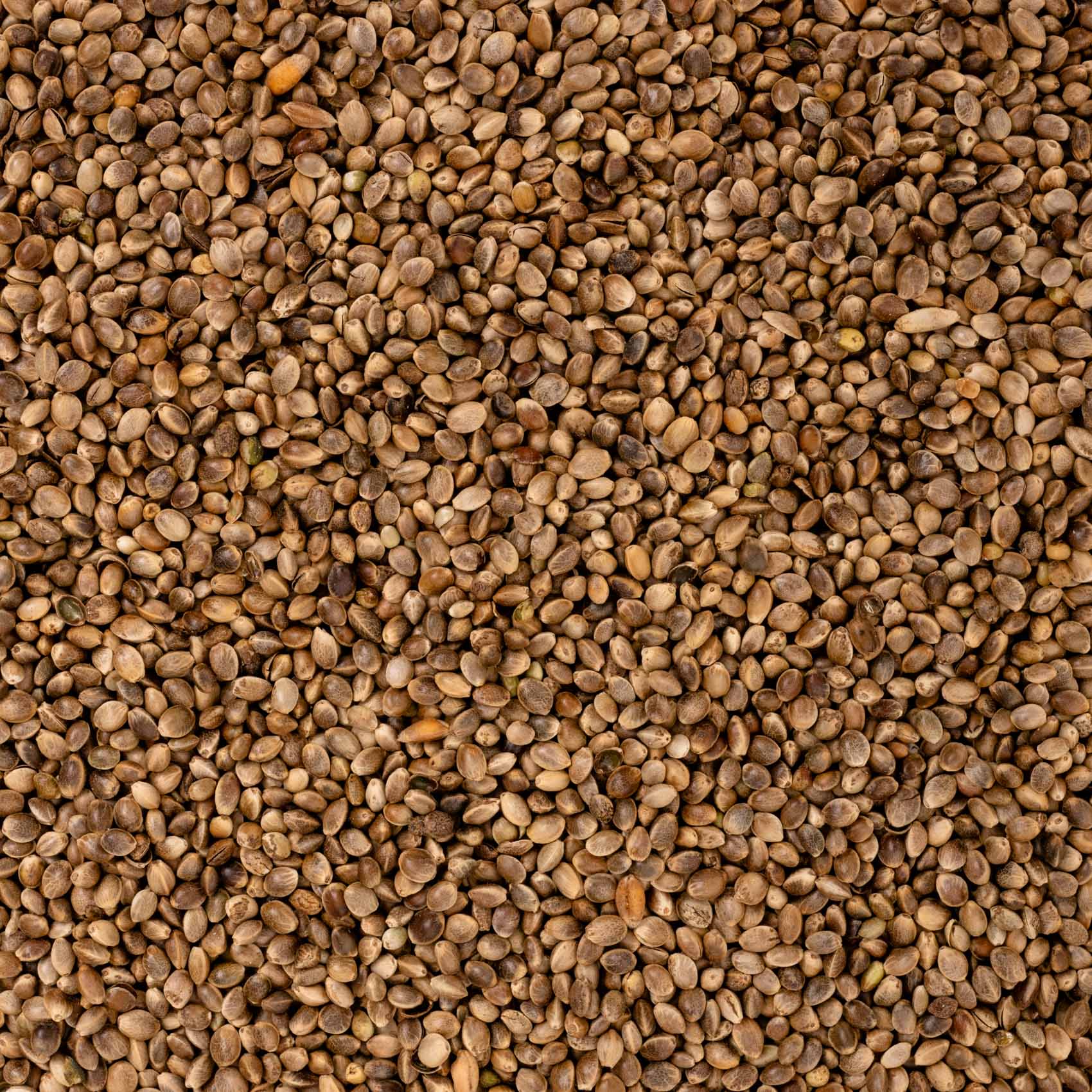 rico-s-futterkiste-hanf-einzelsaaten-500g-energiereich image 2