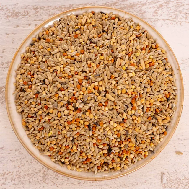 rico-s-futterkiste-wellensittich-spezial-1-sittichfutter-1-kg-12-saaten image 1